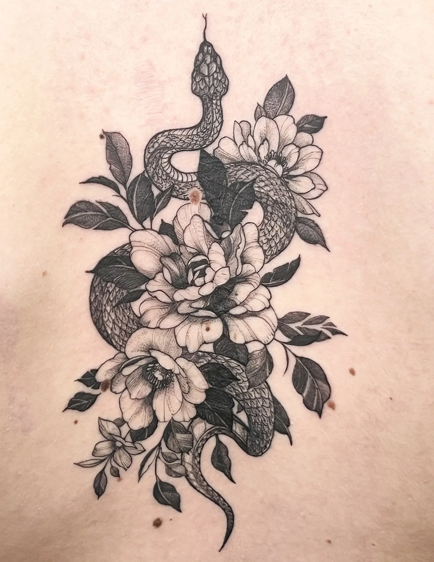 Snake and flowers 
Actually a cover up. 
@fernandonunestattooist 
..
.
Tatoo 2025

#fernandonunestattooist#medussatattoostudiolondon
#medussatattoostudio 
#fernandonunestattooist #blackworktattoo #lineworktattoo #linework #girlswithtattoos #guyswitht