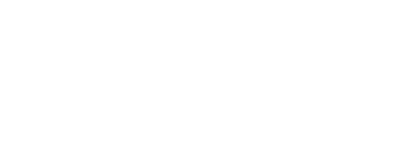Palfy Studio