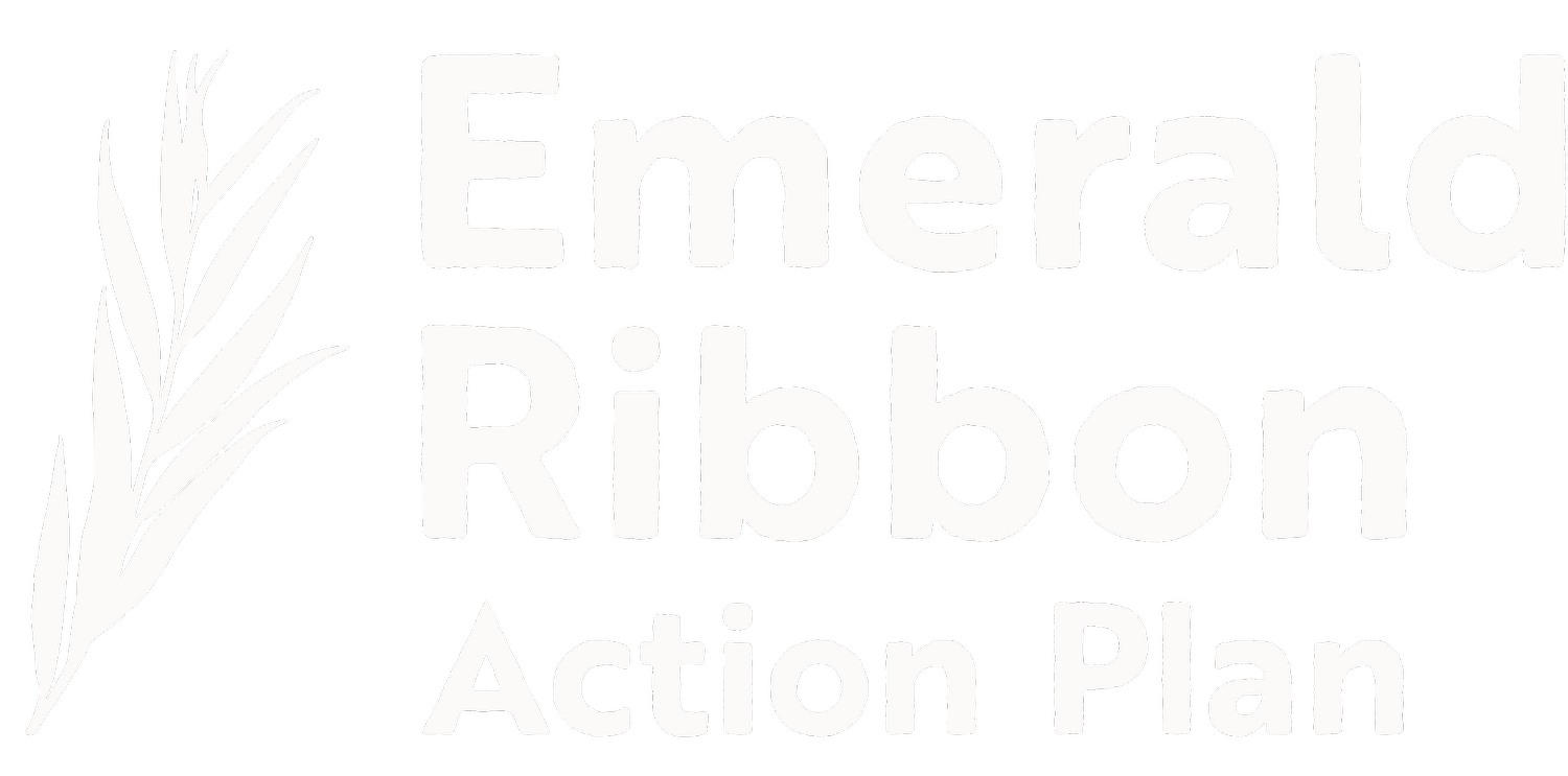 Emerald Ribbon Action Plan