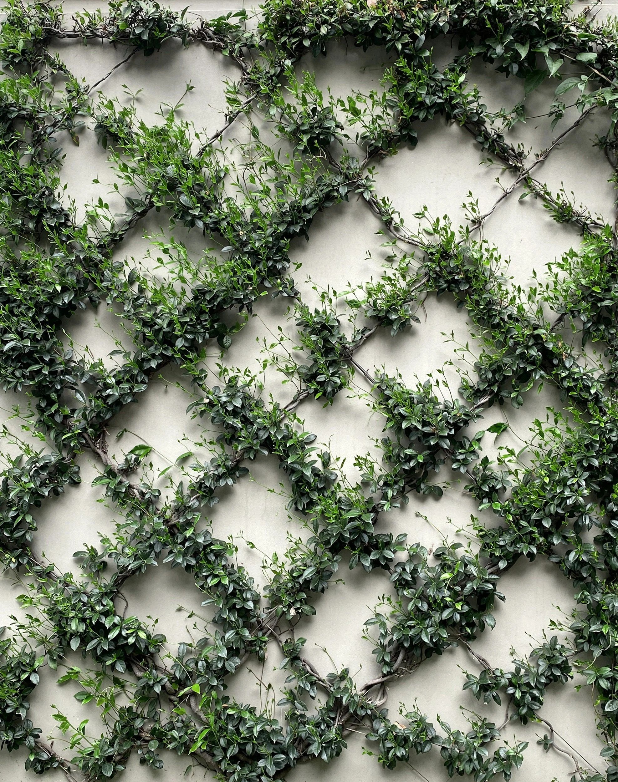 Psychologist and client working together to develop practical ADHD strategies and coping skills.