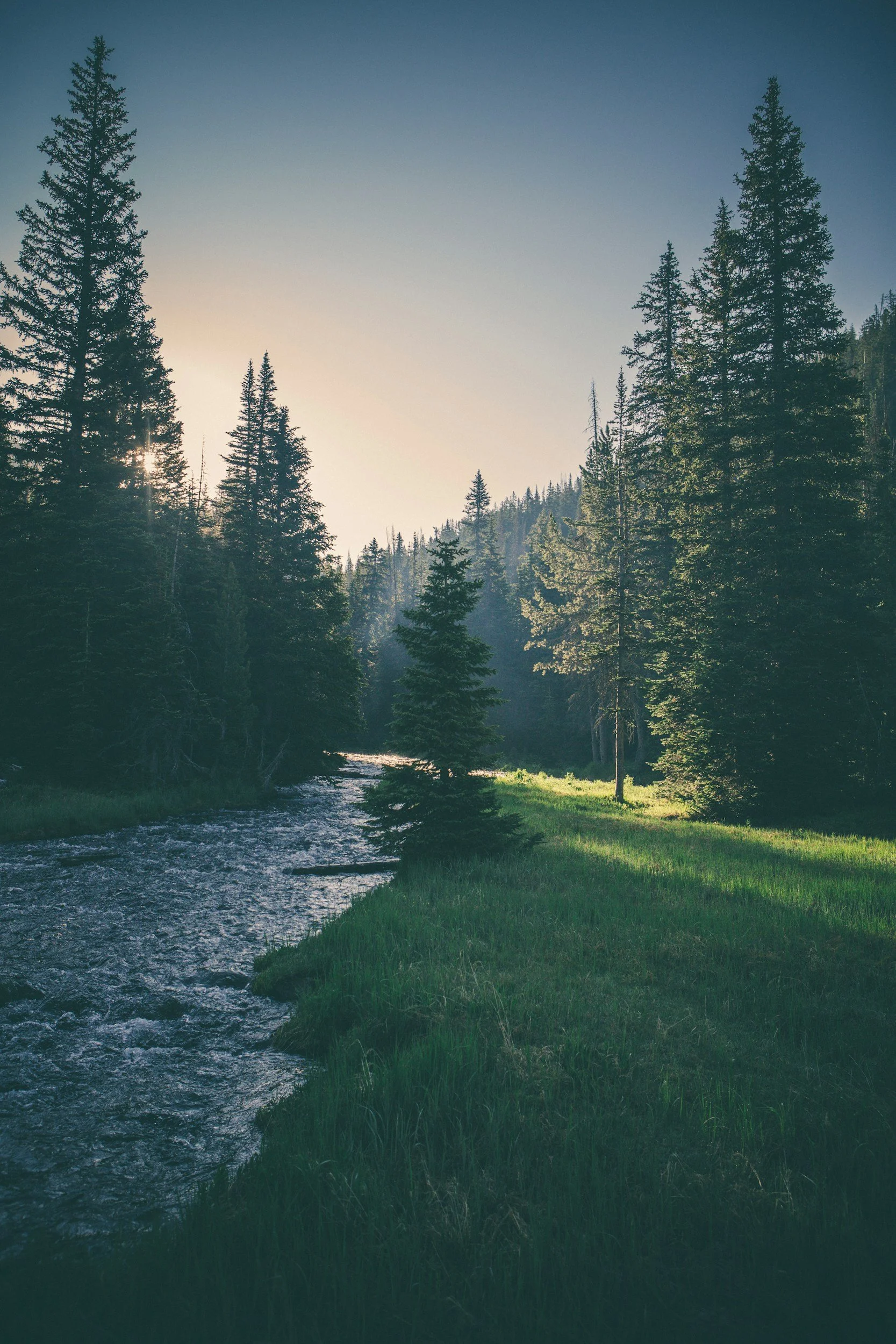 Calm, focused space for trauma-informed therapy