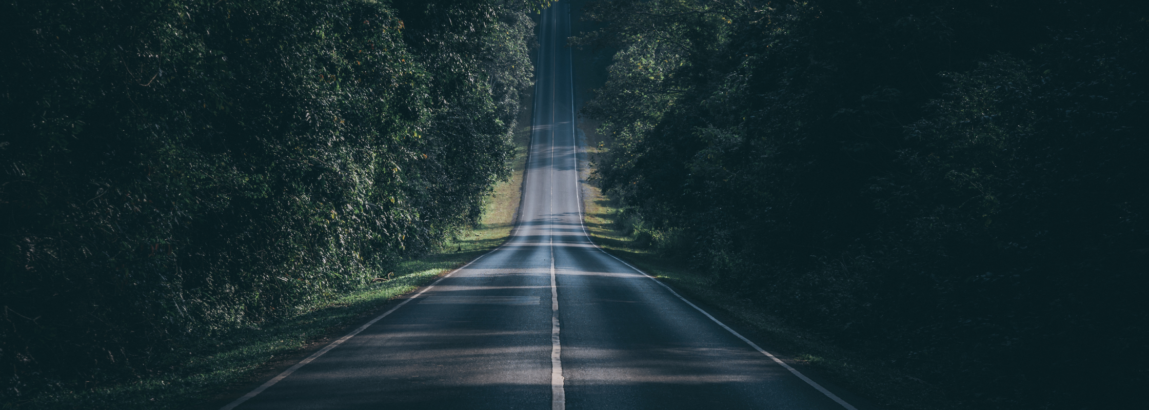 how to start wellness