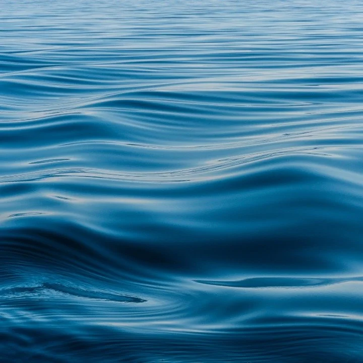 Google Images-7.jpeg