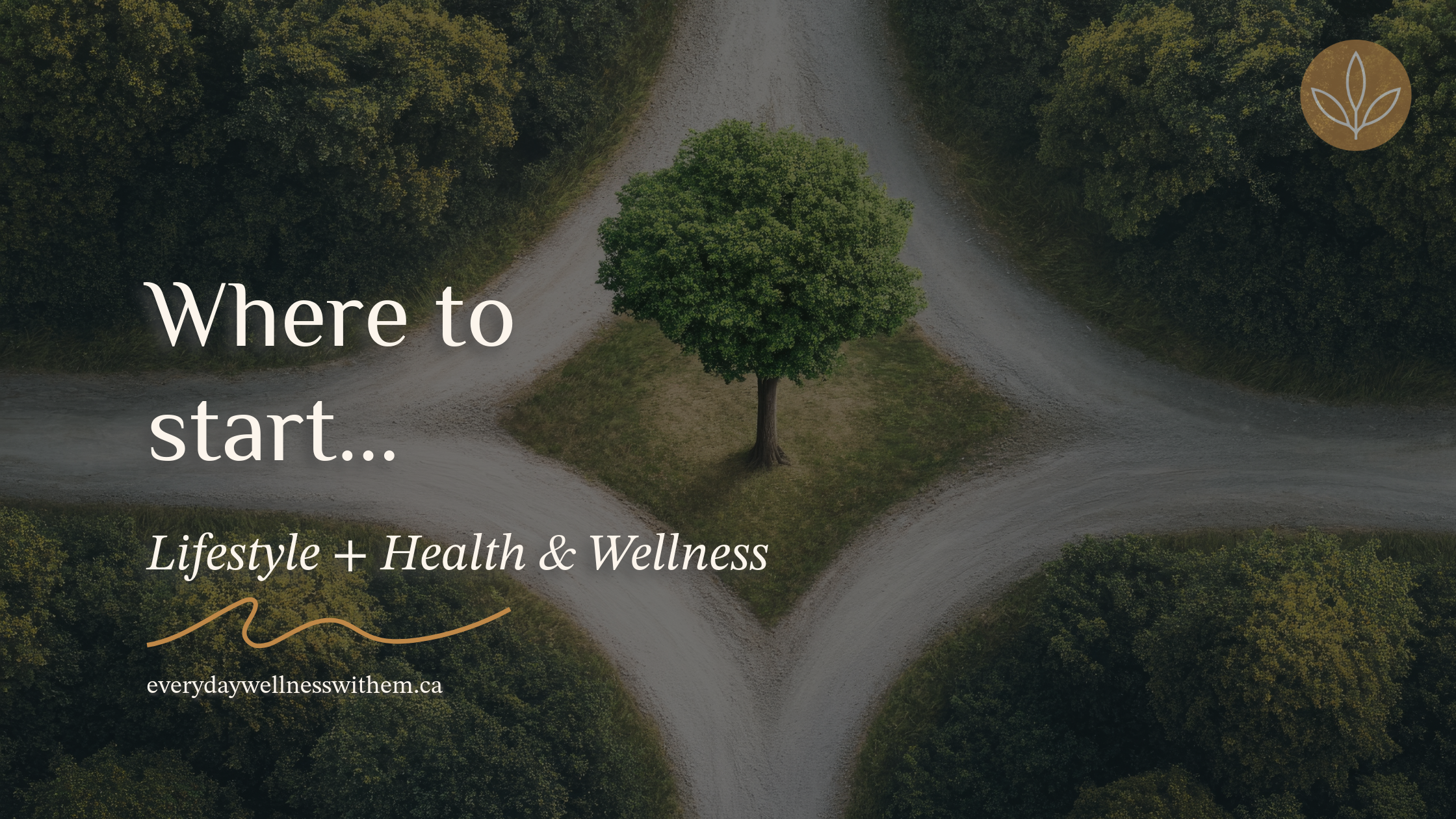 how to start wellness