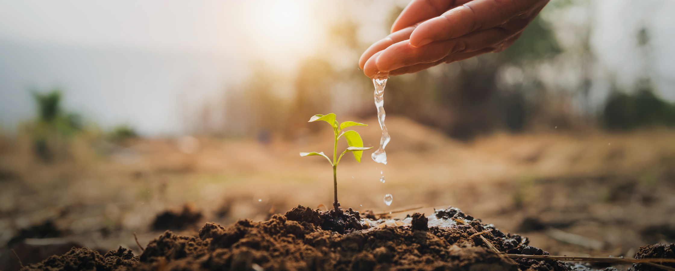 how to start wellness