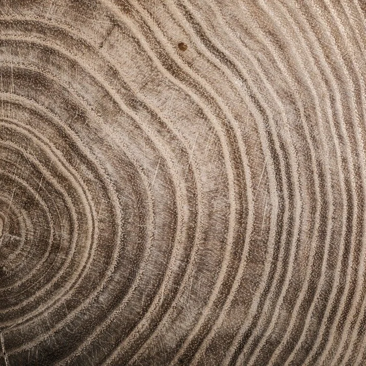 Google Images-6.jpeg