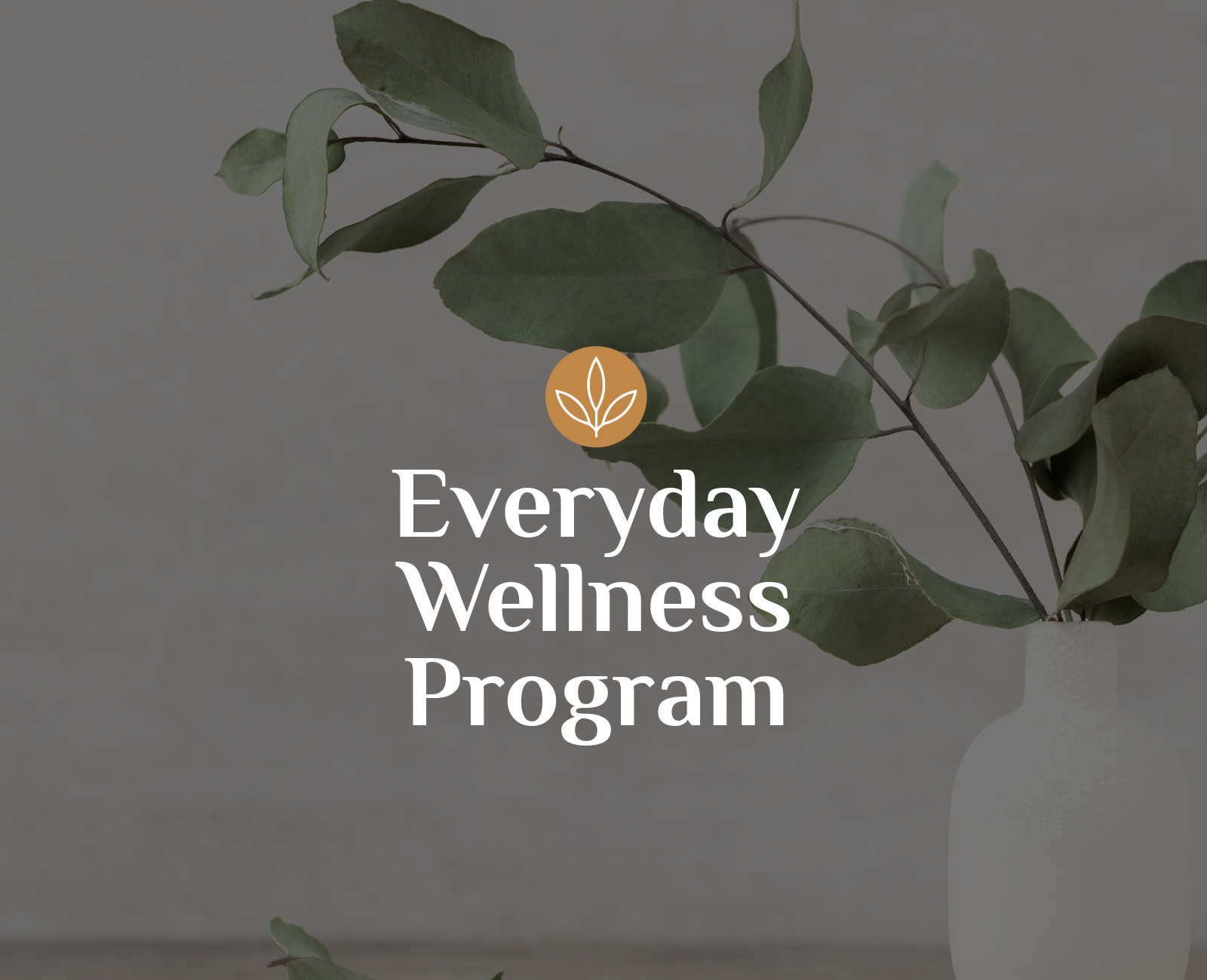 Everyday Wellness 4-Week Online Program