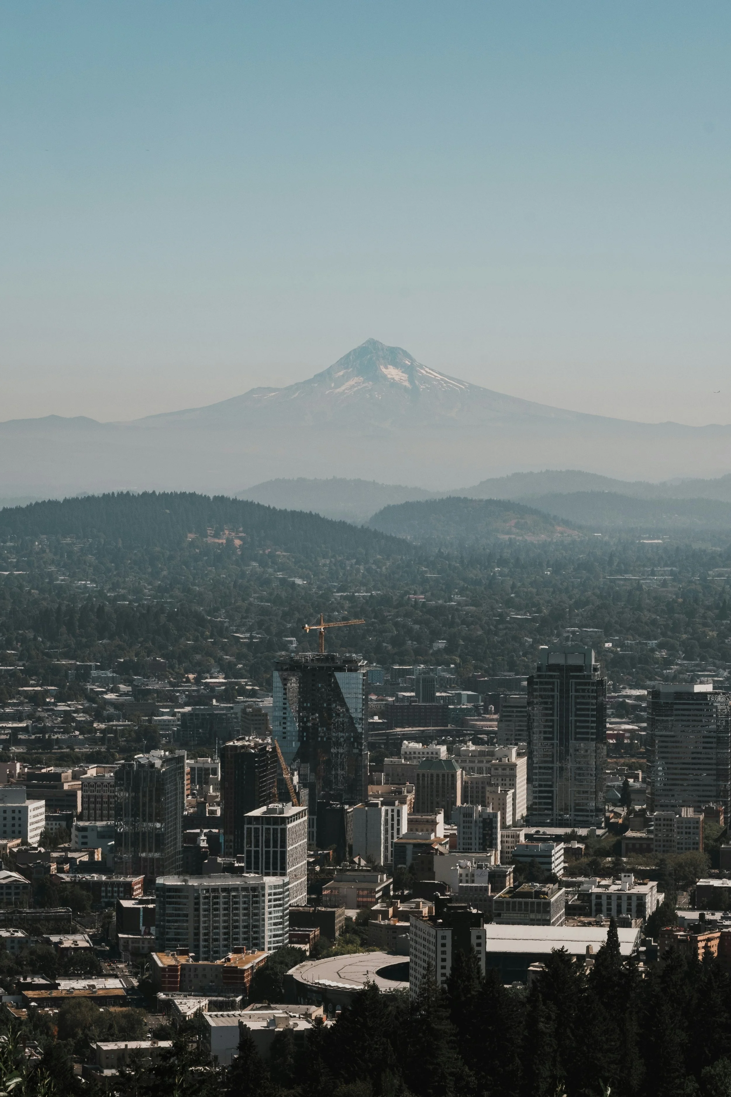 View of downtown city with tall buildings in the foreground, forested area, a mountain with snow-capped peak in the background, and a clear sky.