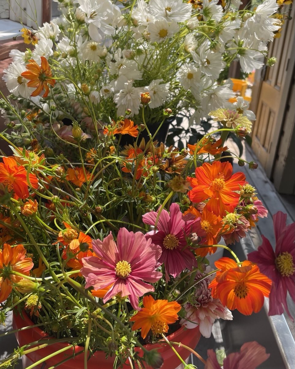 Every week we fill the #boonvillehotel with flowers from the garden and #philoapplefarm. Truly a labor of love.