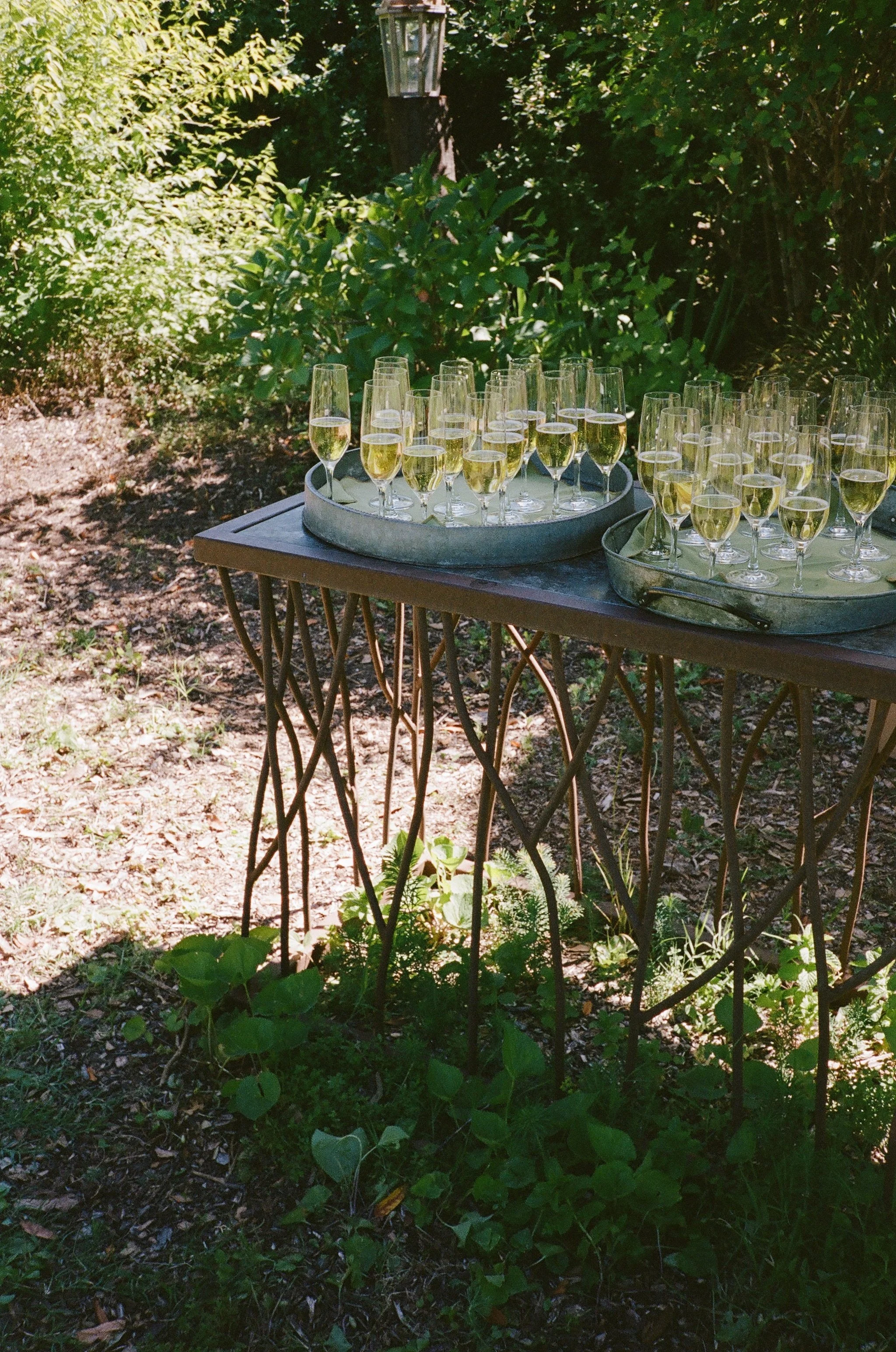 Film61.jpg