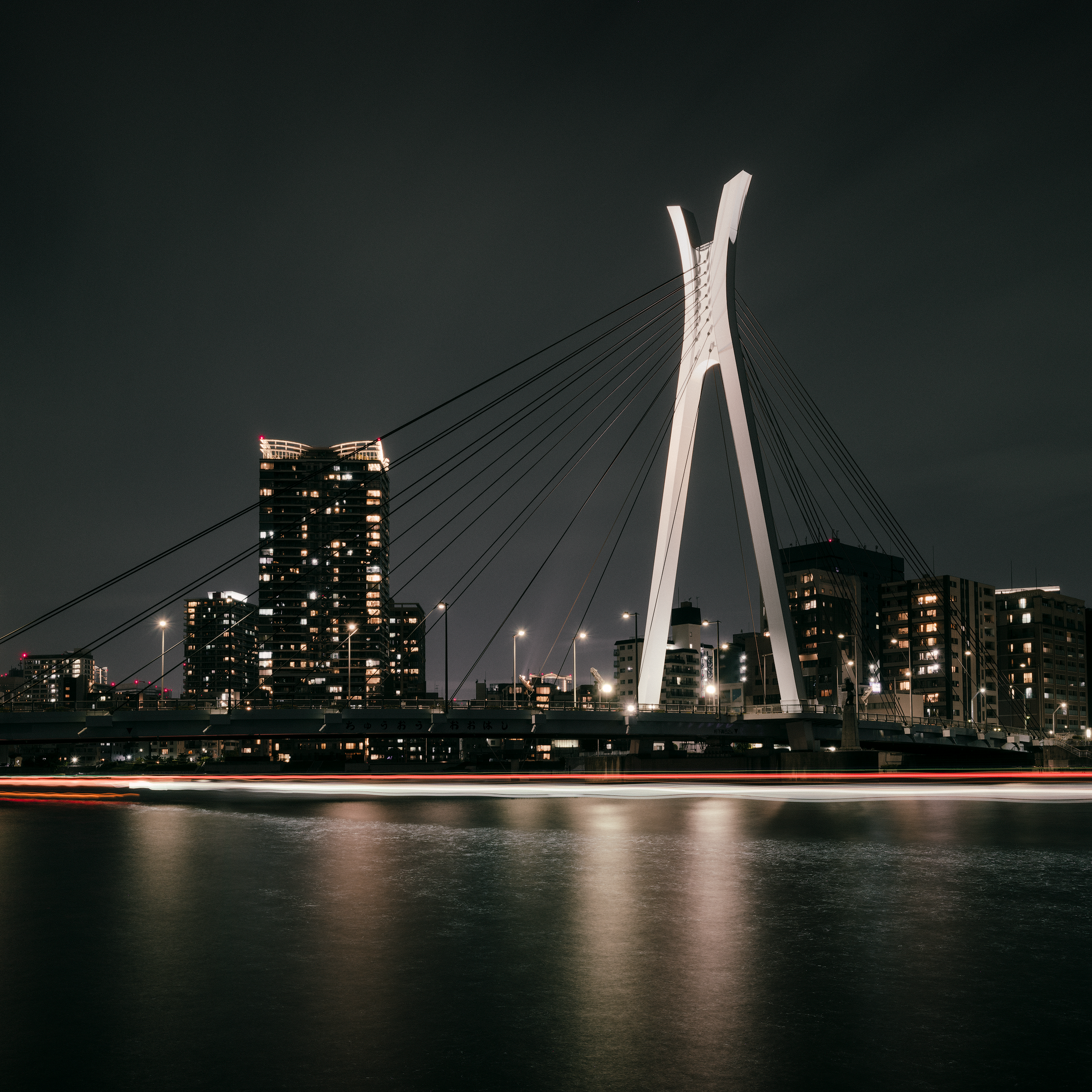 tokyo-night-sumida-river-bridge-scott-reither.png
