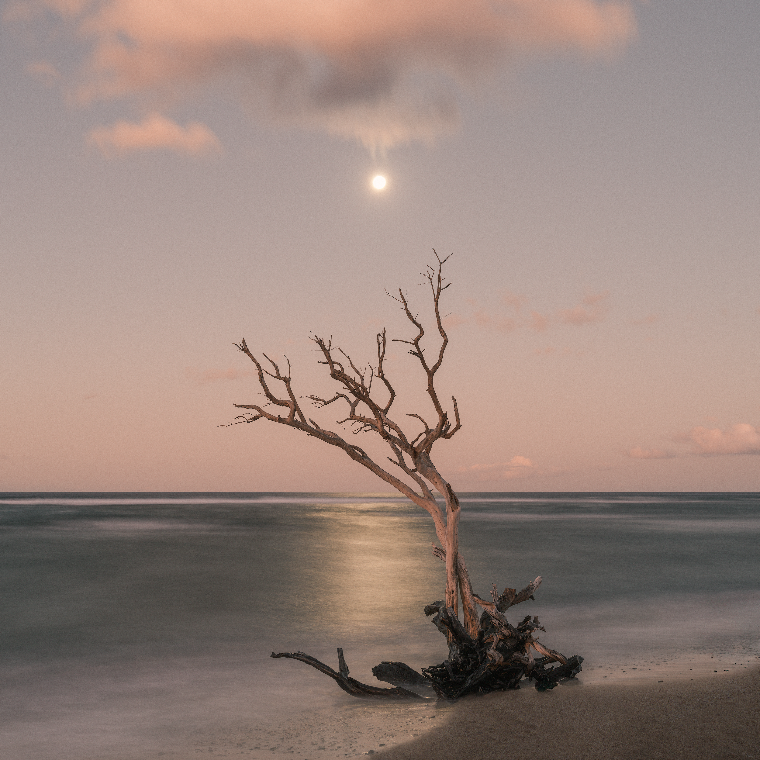 TIDEWOOD-MOON.2500PX-GR.png