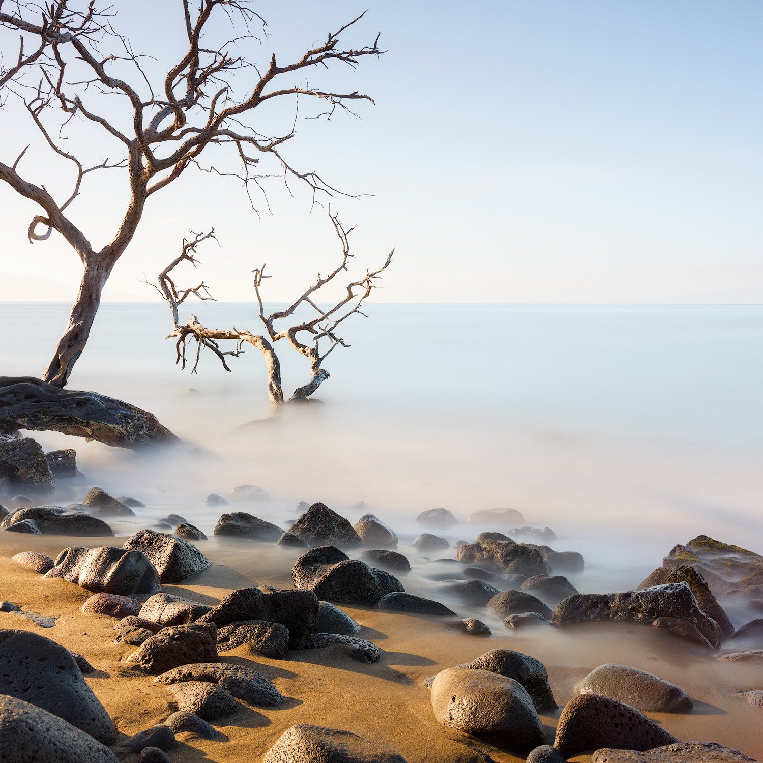 ARRANGING AWARENESS.1500PX.jpg