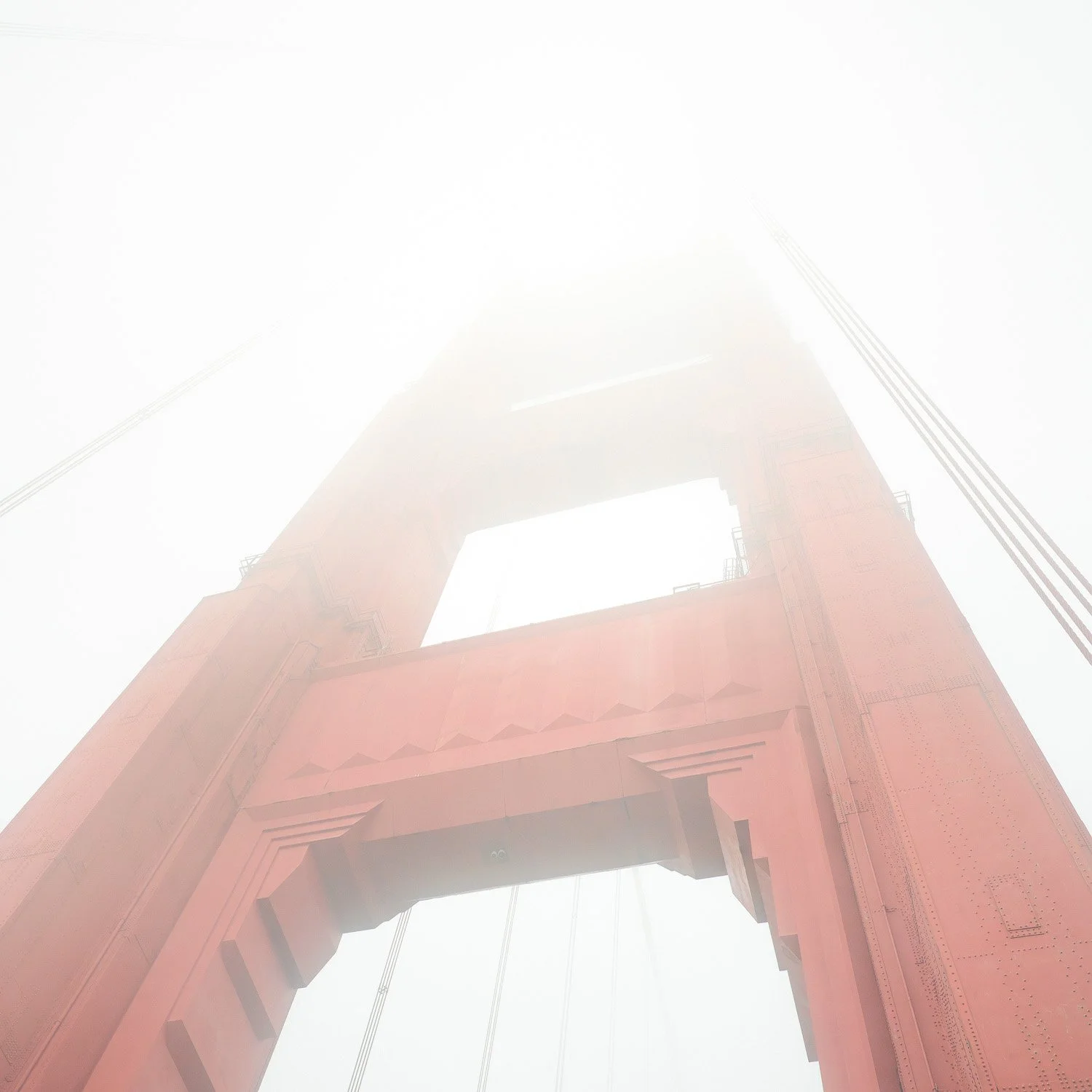 DISAPPEARING ACT.2025_1500PX.jpg