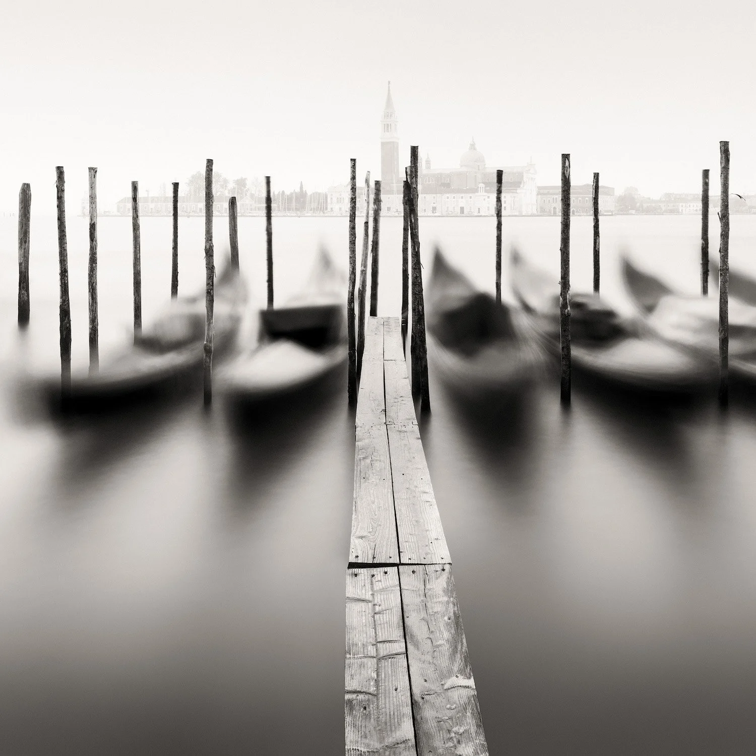 WALK THE PLANK.1500PX-W.jpg