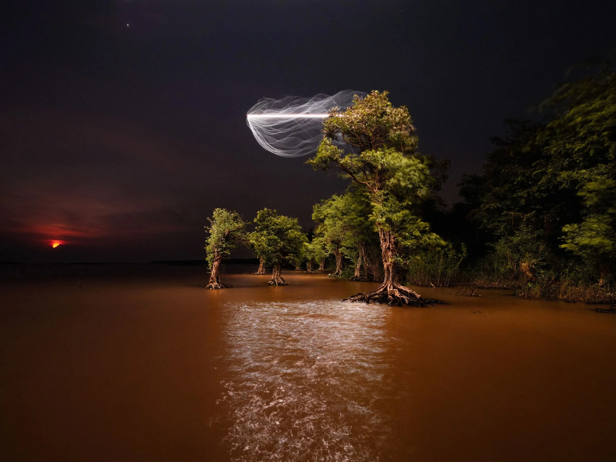 REUBEN-WU-OSCILLATIONS-TREE-IN-WATER.2500PX.jpg