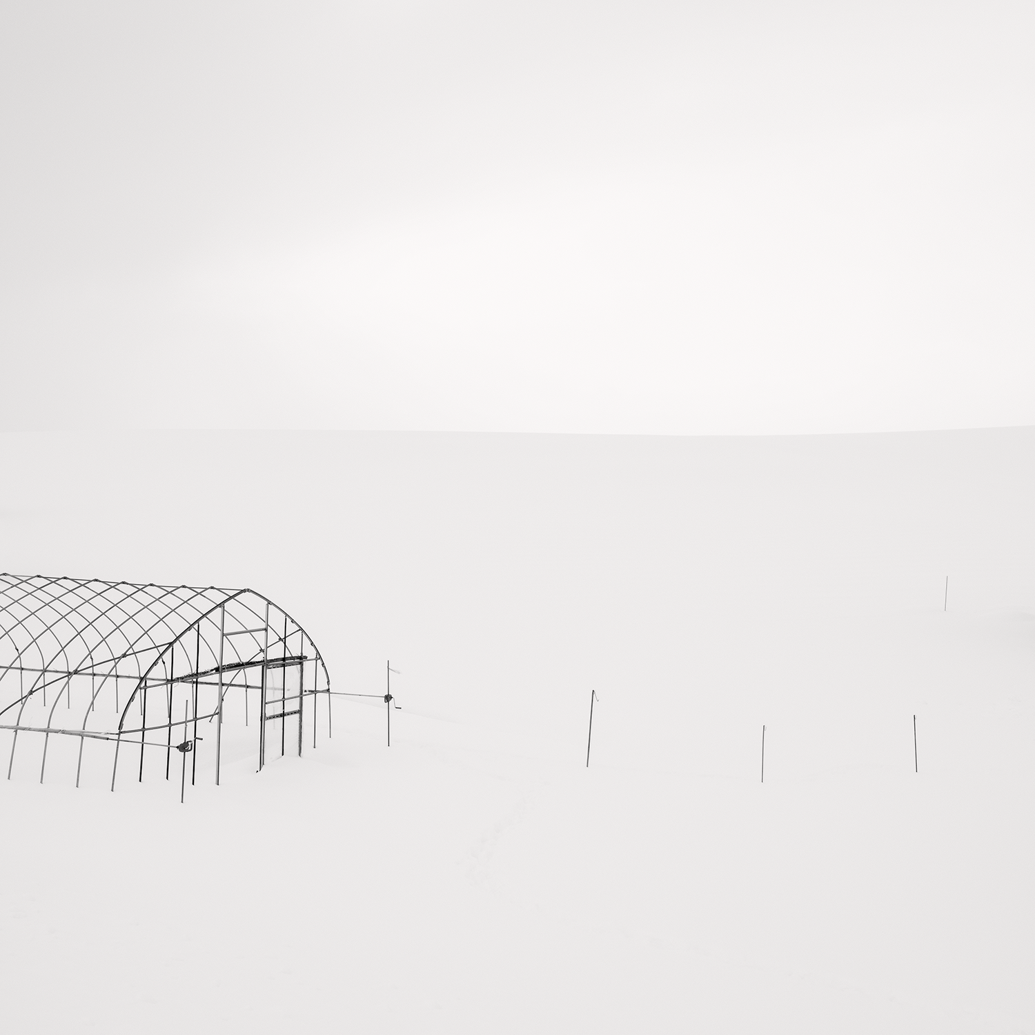 HOW SIMPLE CAN A PHOTOGRAPH BE BEFORE IT LOSES ITS MEANING?