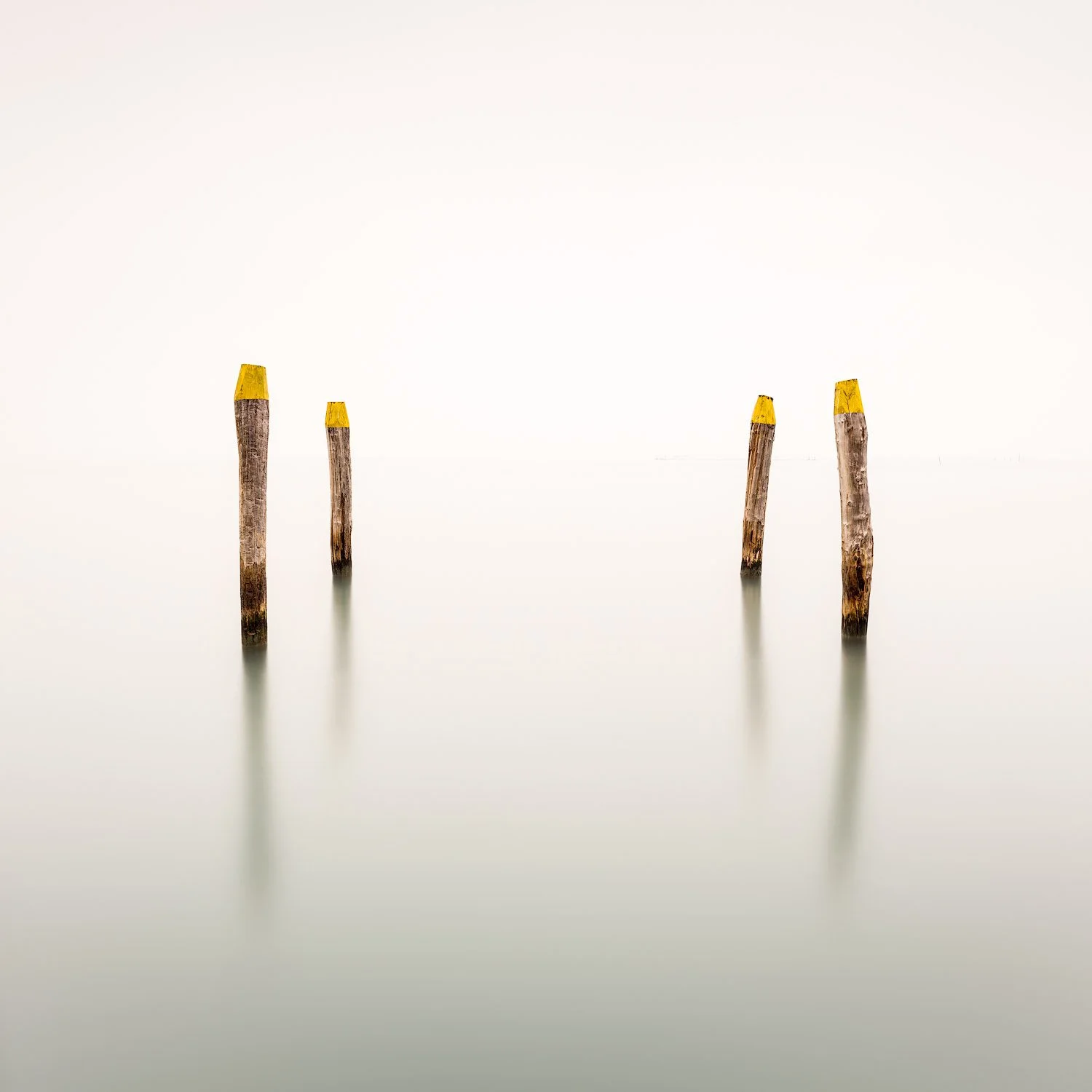 GUIDING WHISPERS.1500PX.jpg