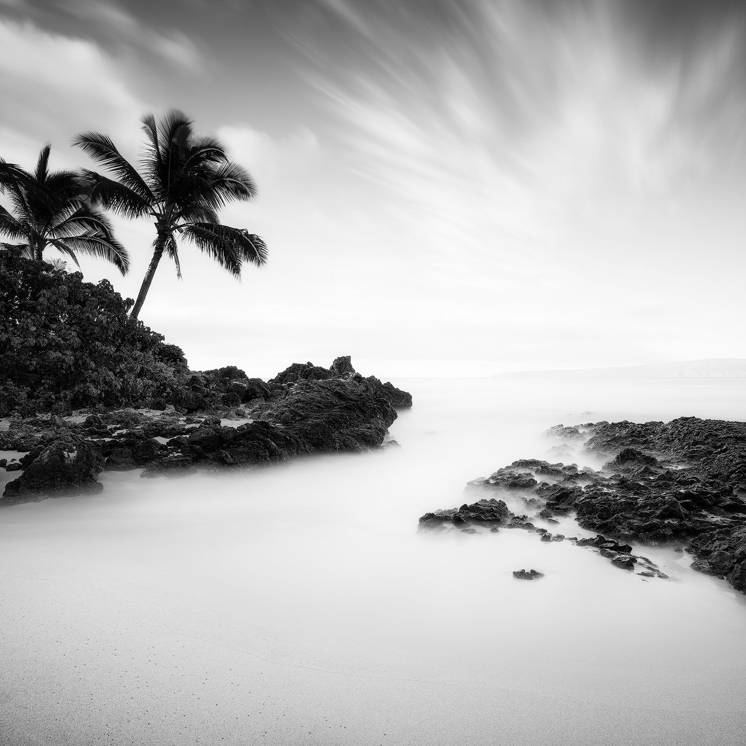 THE SECRET.1500PX.jpg
