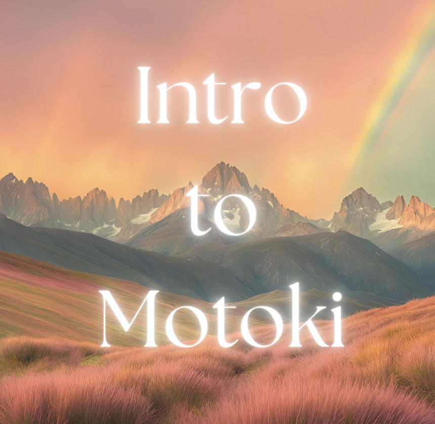 Intro to Motoki