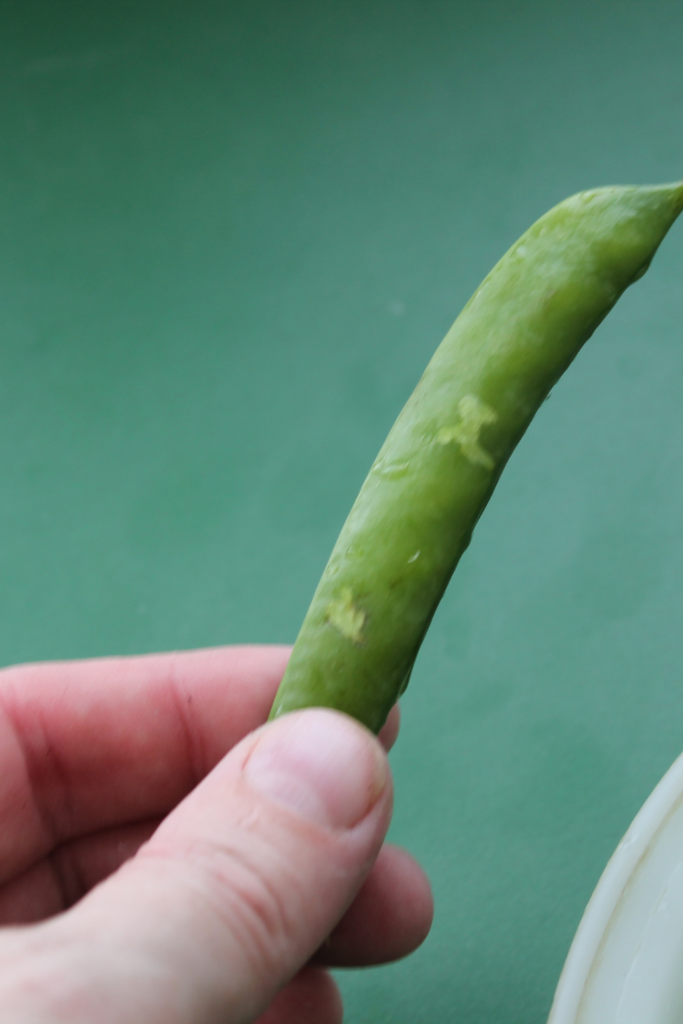 5 tips for parenting - Peas.png