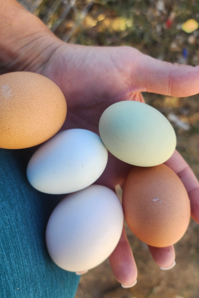 5 tips for parenting - Eggs.png