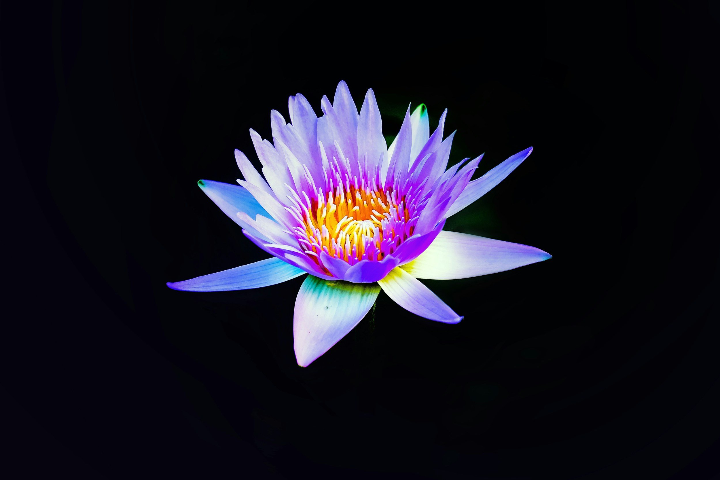 How Massage Therapy Can Help You Integrate Psychedelic Experiences