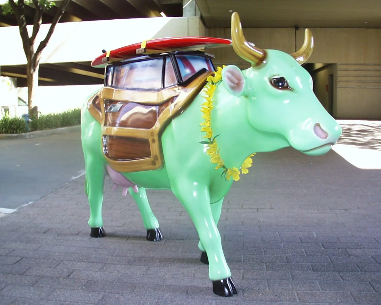  All dolled up and ready for the big show. 