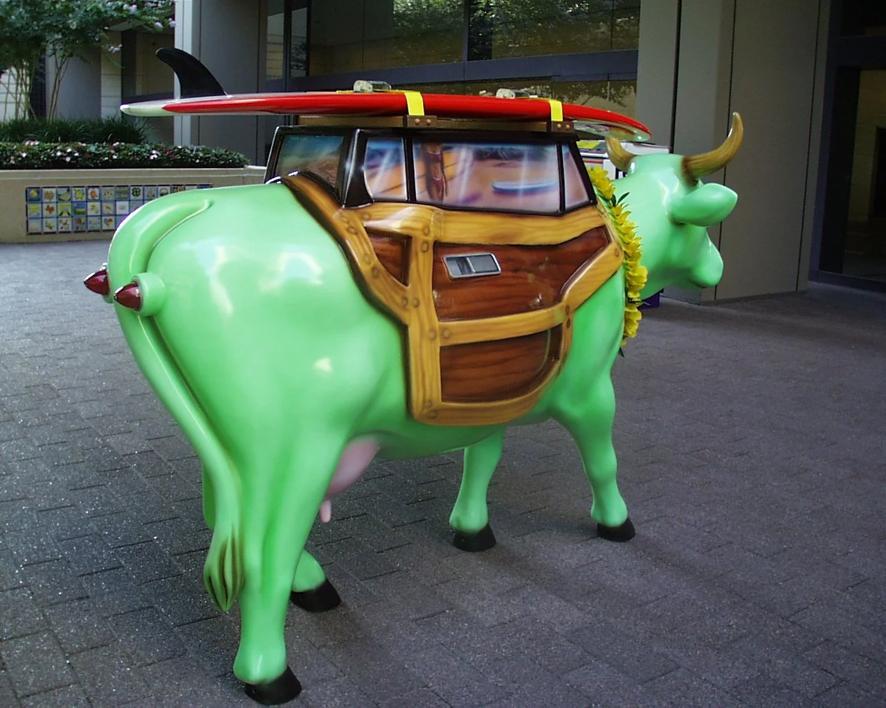     back to illustrations    