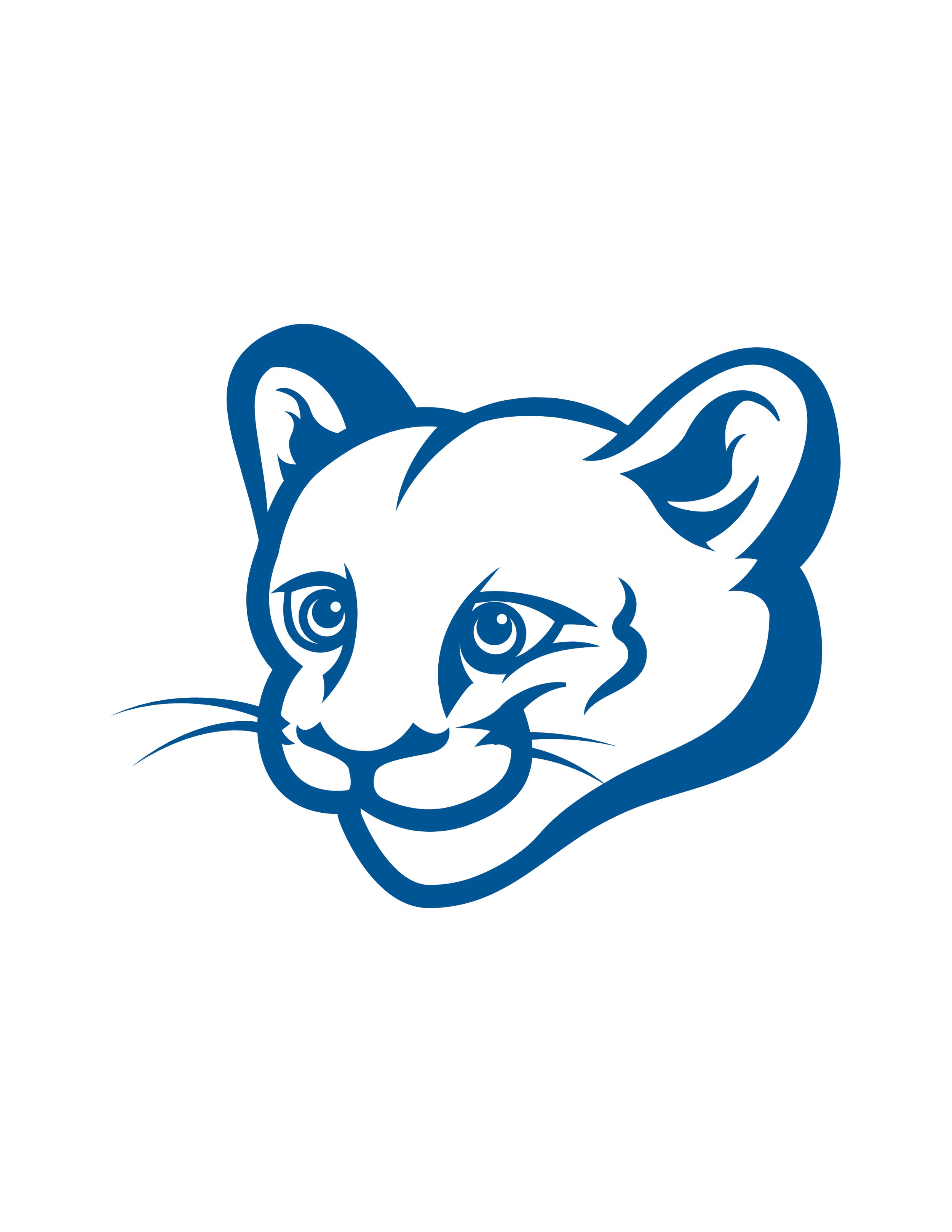 CV_PrimaryIcon1CLR-01.jpg