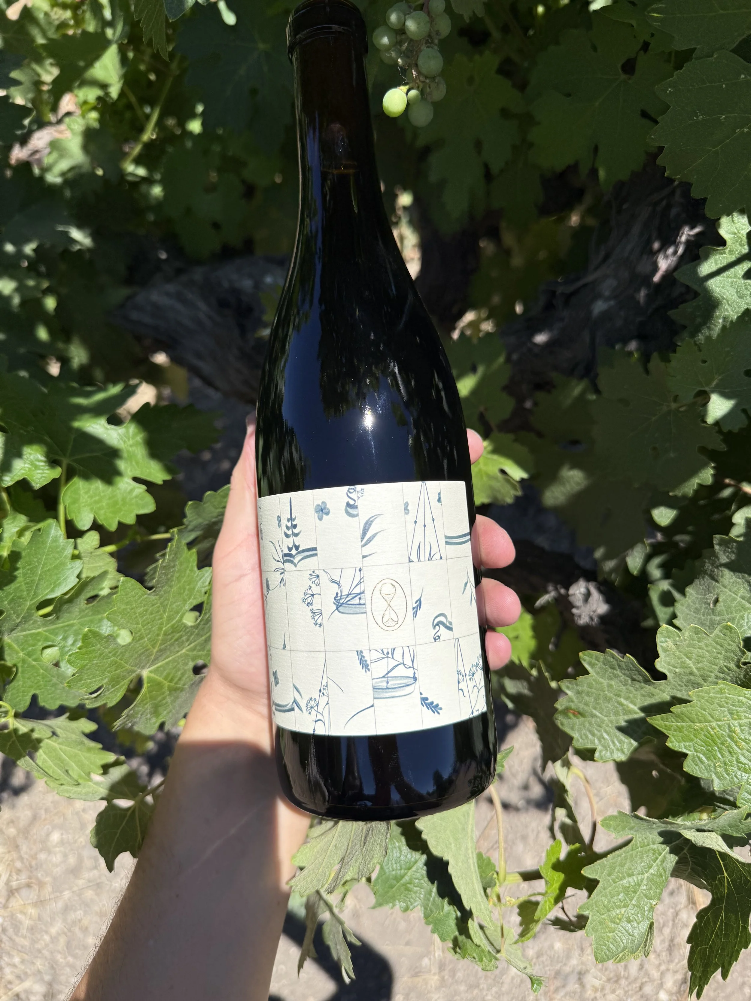 2023 Syrah