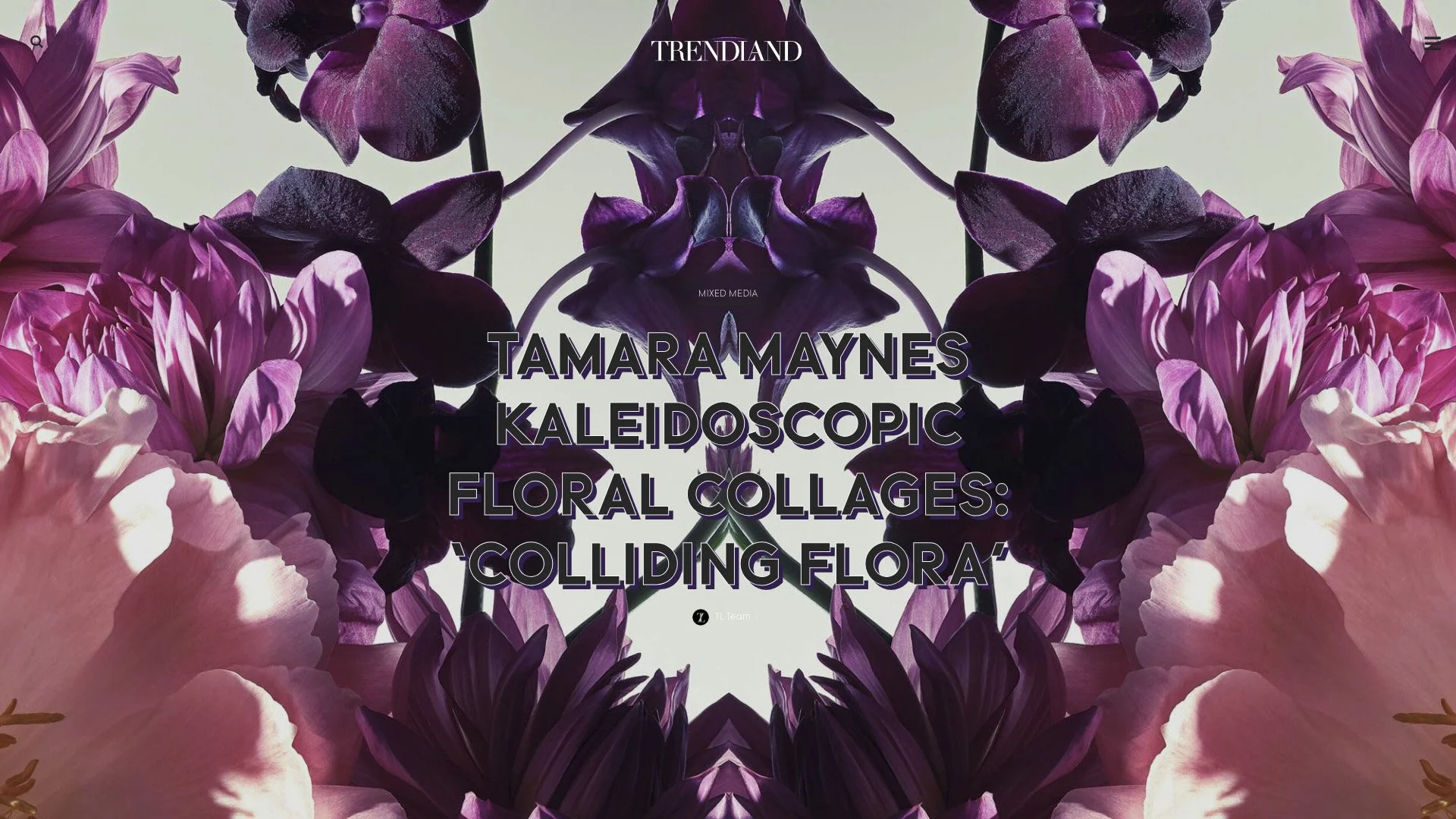 FEATURE | COLLIDING FLORA | TRENDLAND