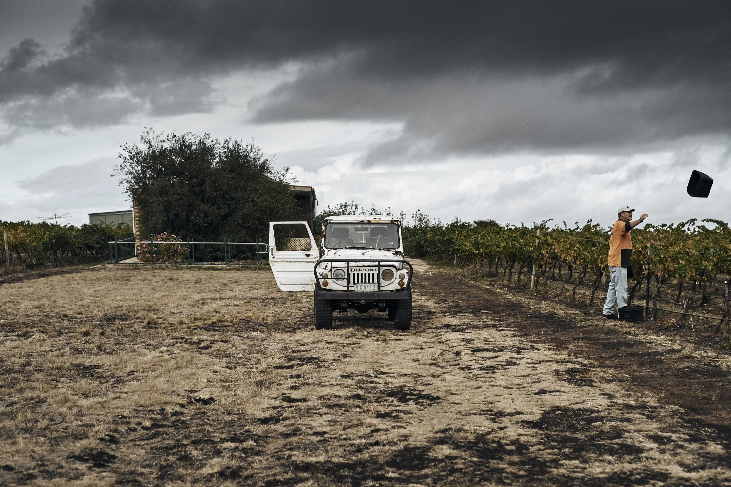 ISAMU-SAWA-ISP150407_Kooks-Wines_Harvest_281.jpg