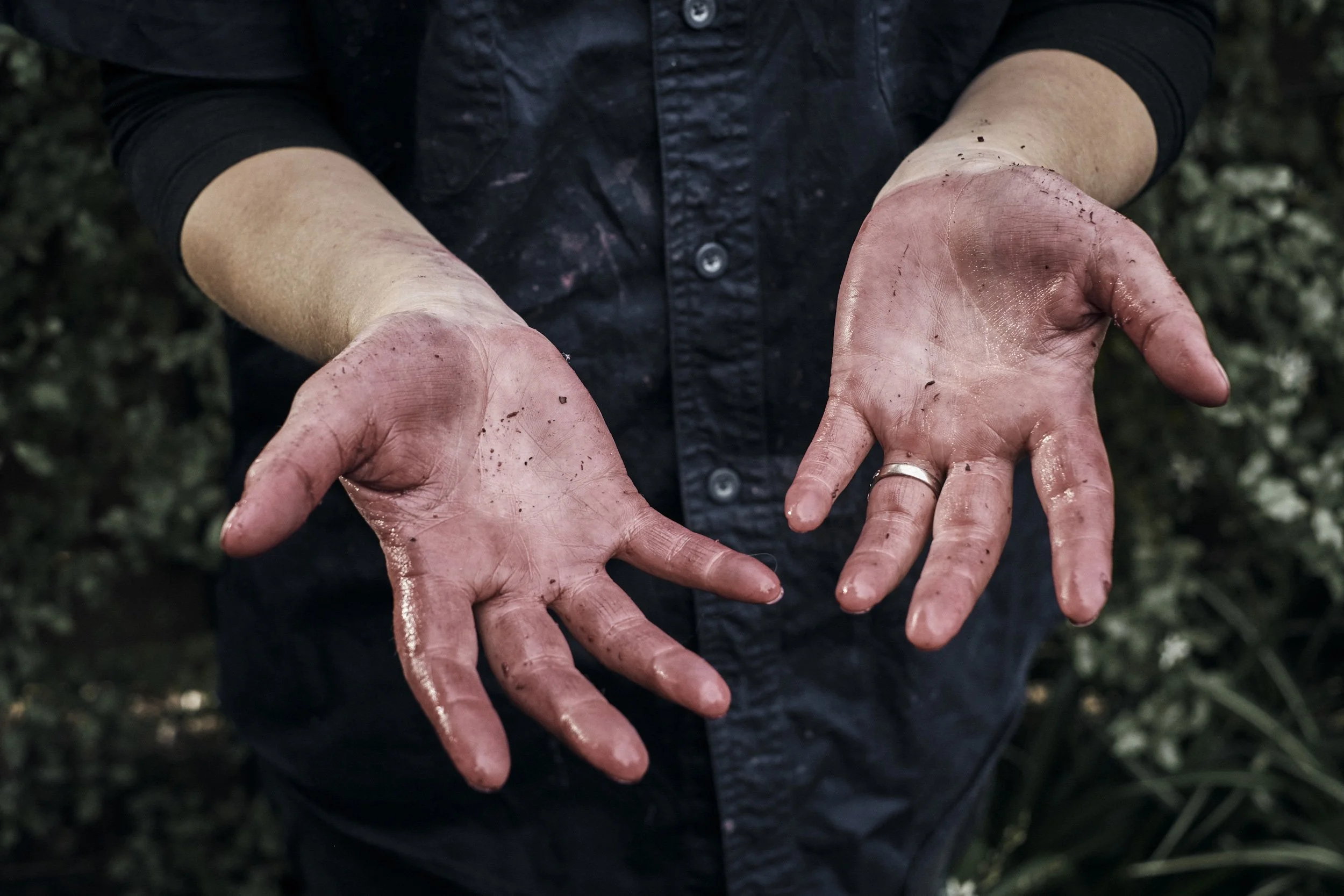 ISAMU-SAWA-ISP150417_Kooks-Wines_Harvest_2556.jpg