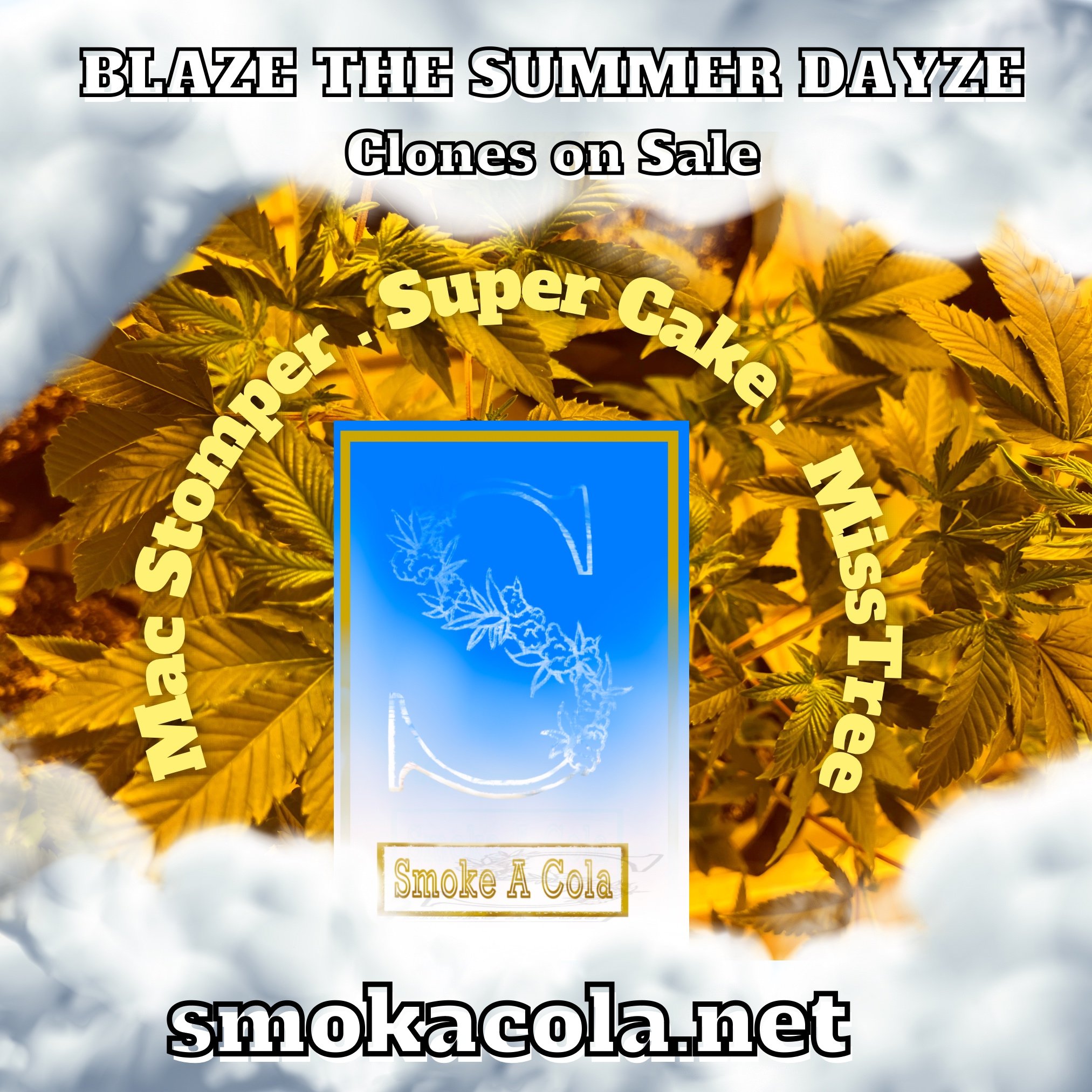 2021. SmokaCola Advertising Deck.
Instagram Photo. 5.1