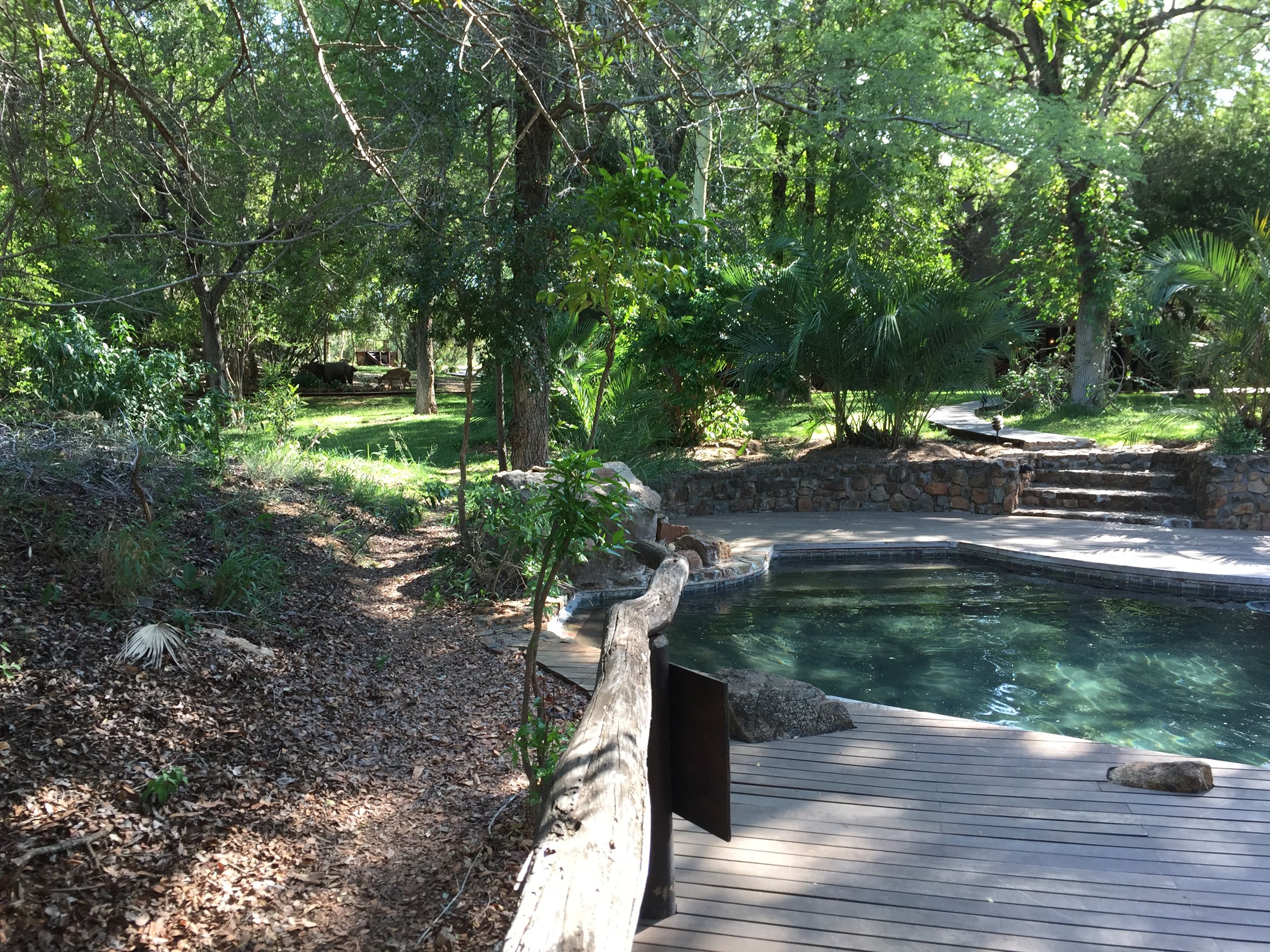pool area at dulini moya in south africa