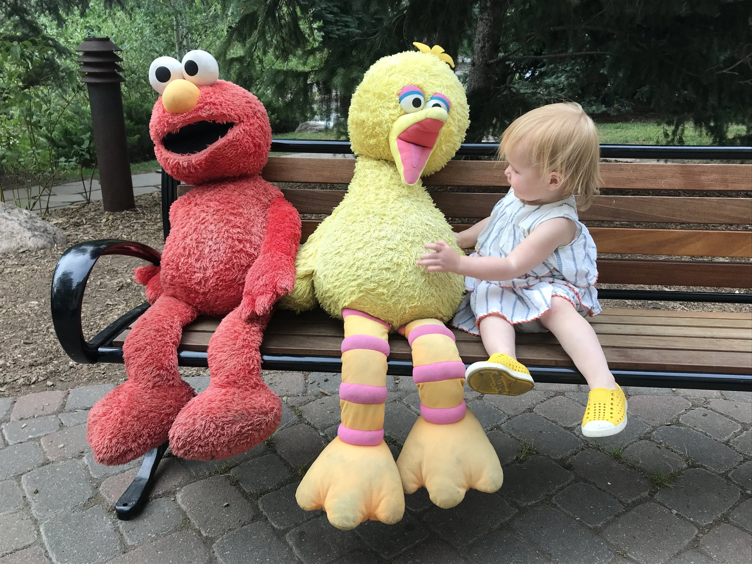 Vail with Kids (2026–27): The Complete Family Guide from Colorado Locals