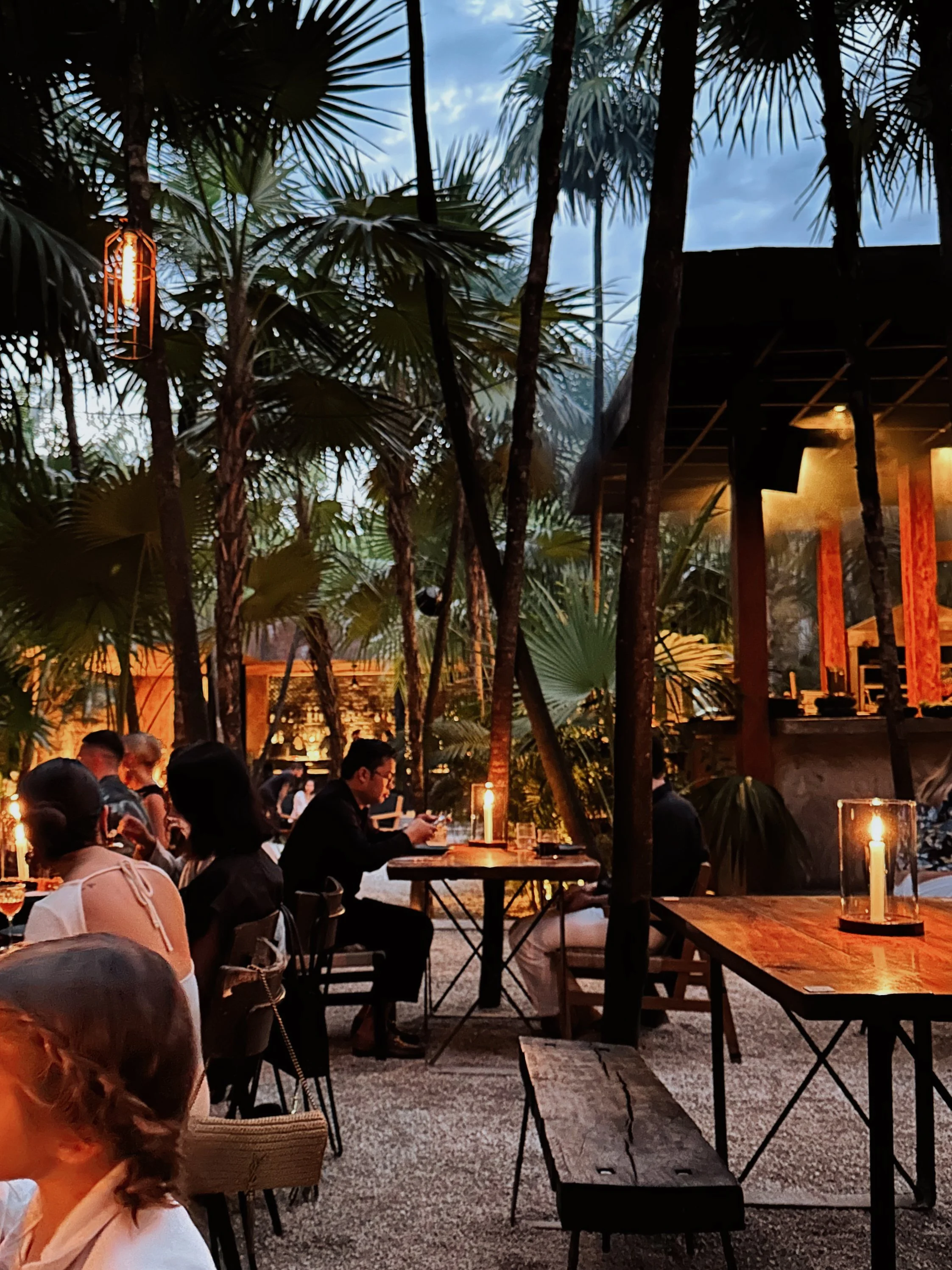 Best Restaurants in Tulum (2026 Guide)