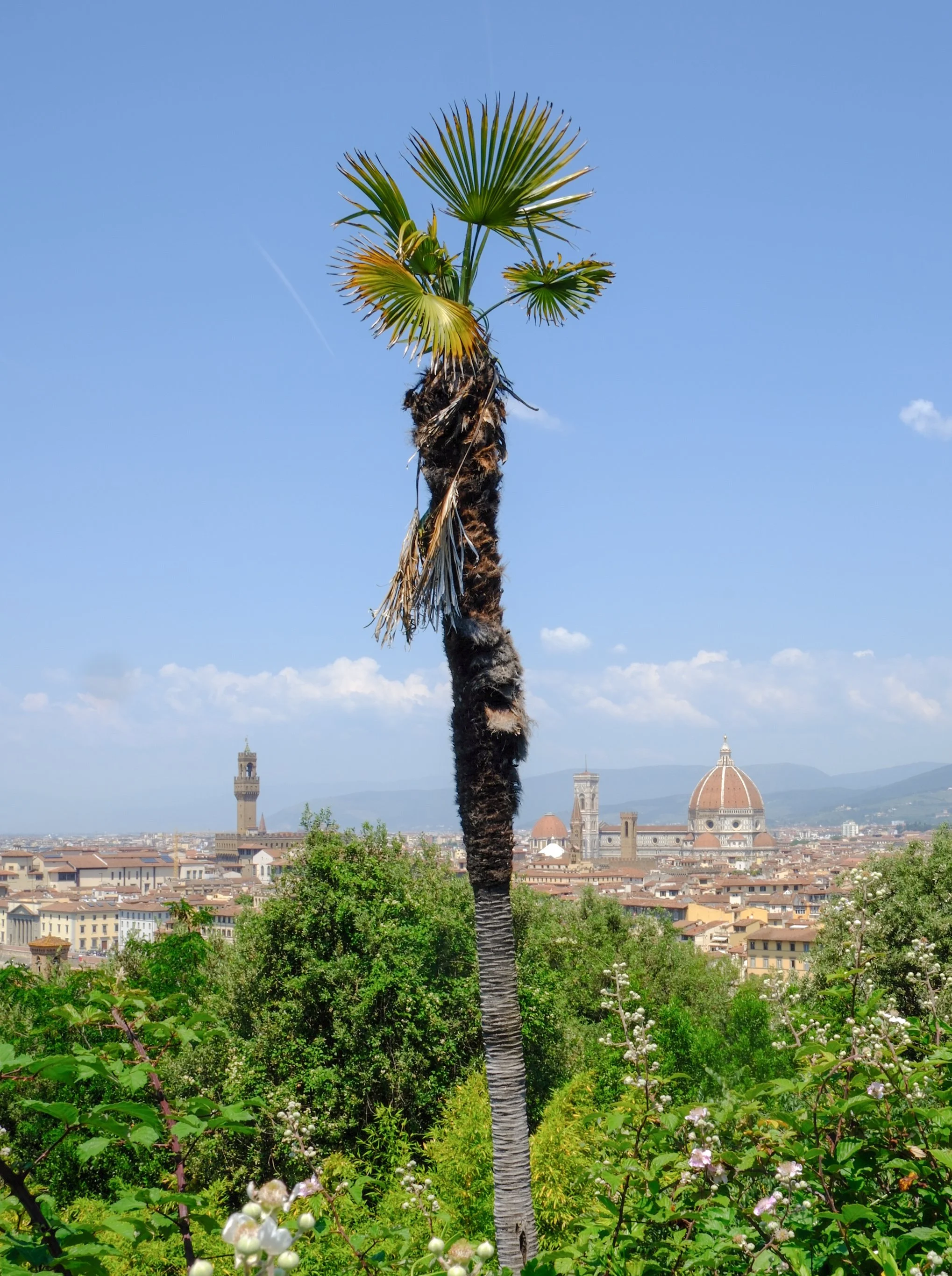 3 Days in Florence: A Luxury Itinerary (2026)
