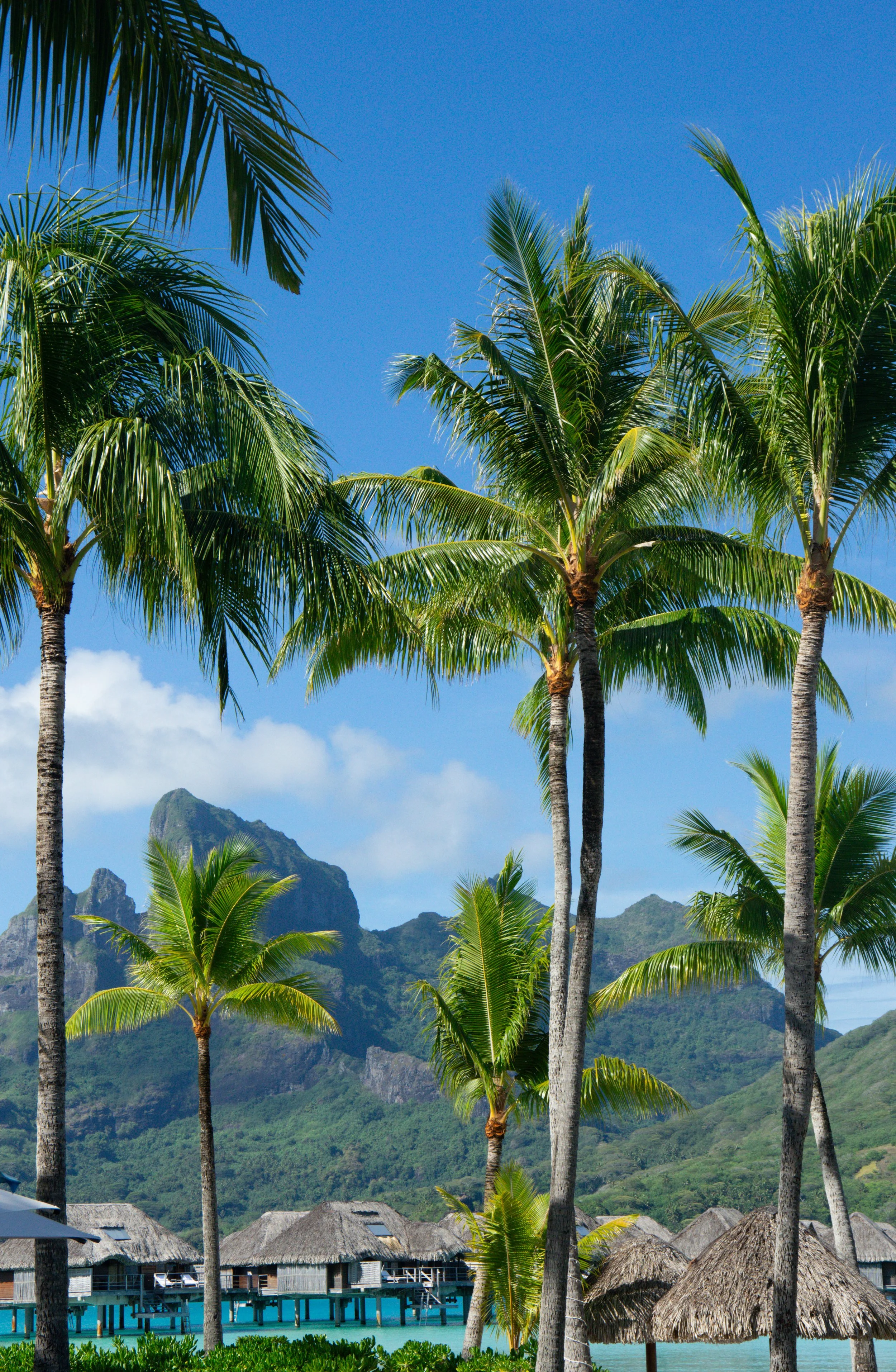 Bora Bora vs. Moorea: Which French Polynesia Island Is Right for You? (2026)