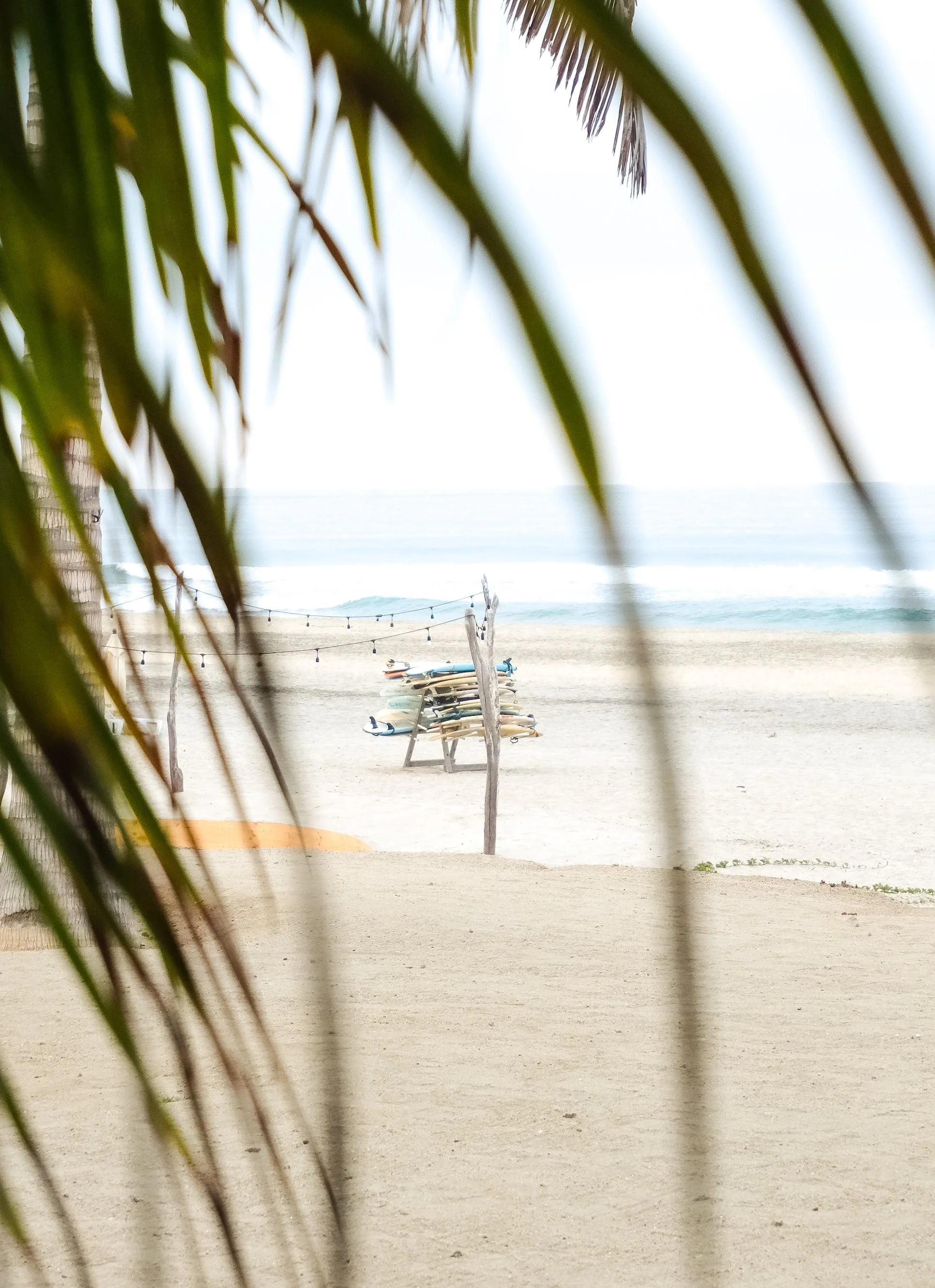 Best Day Trips from Cabo San Lucas (2026 Guide)