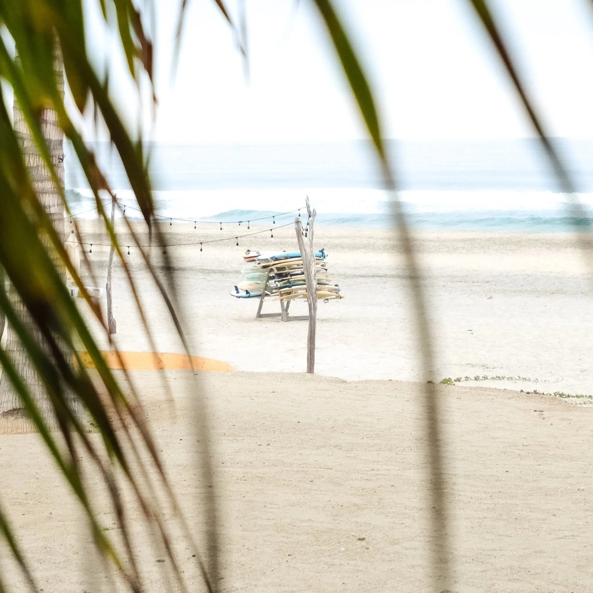 Best Time to Visit Cabo (Month-by-Month Guide)