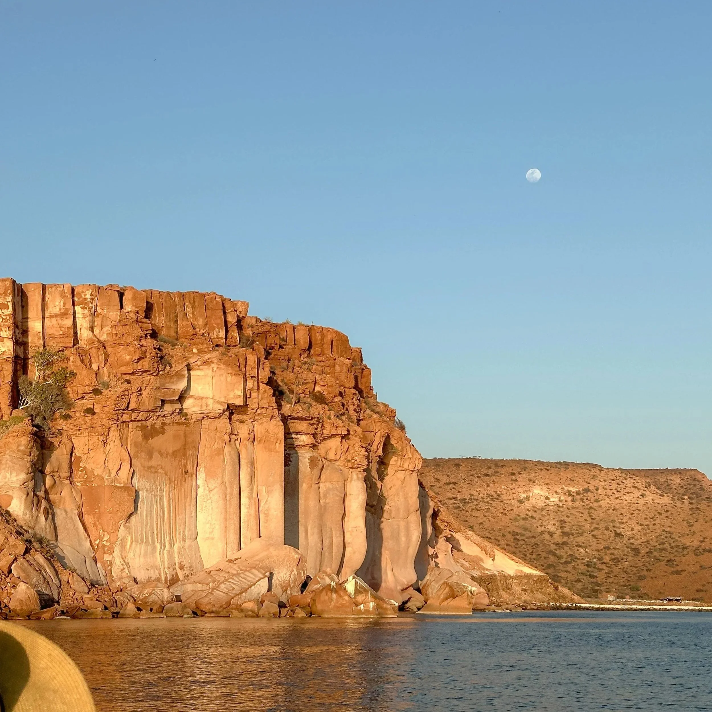 isla espiritu santo in baja california sur