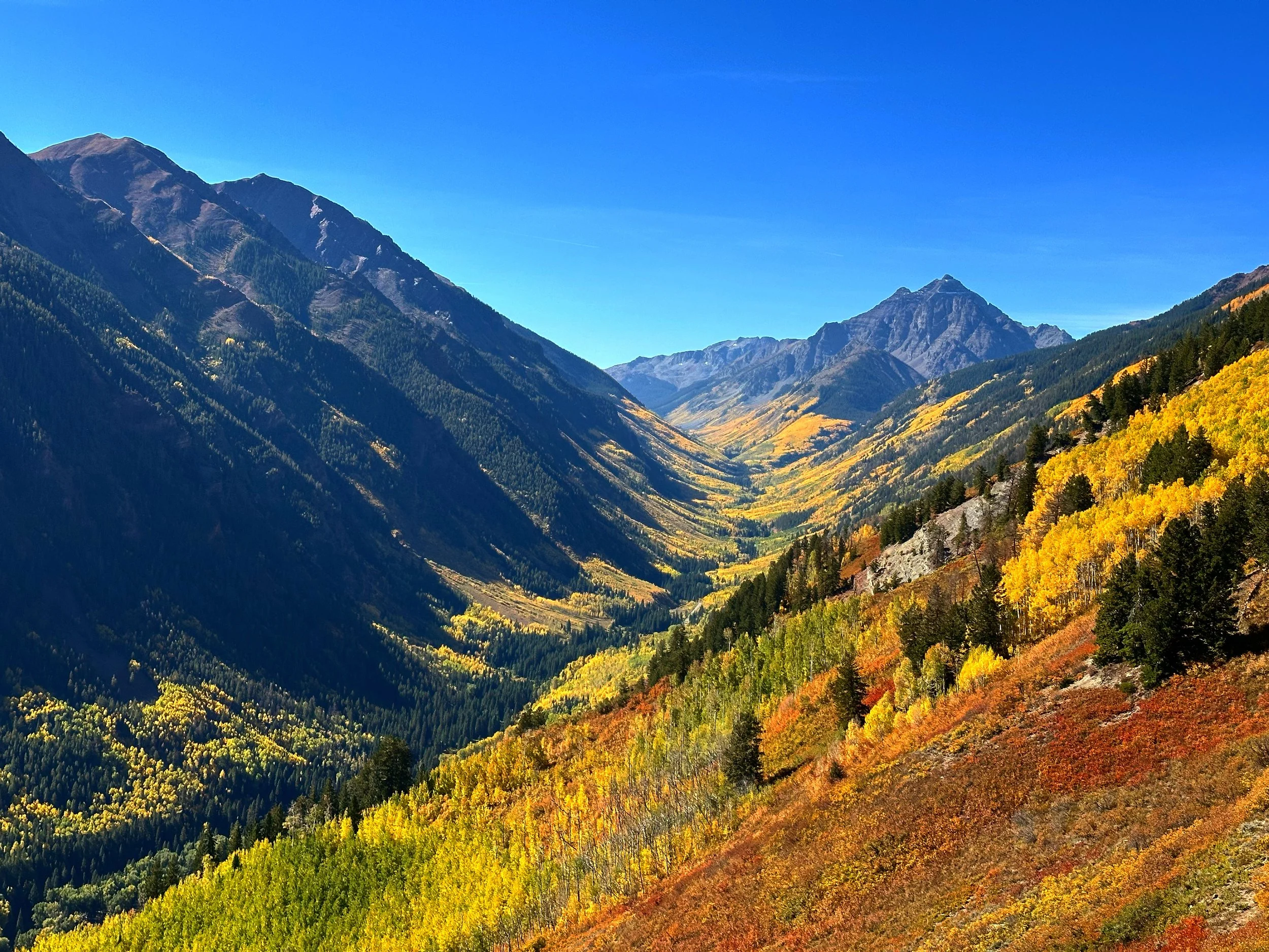 view of aspens at the top of buttermilk mountain in aspen
