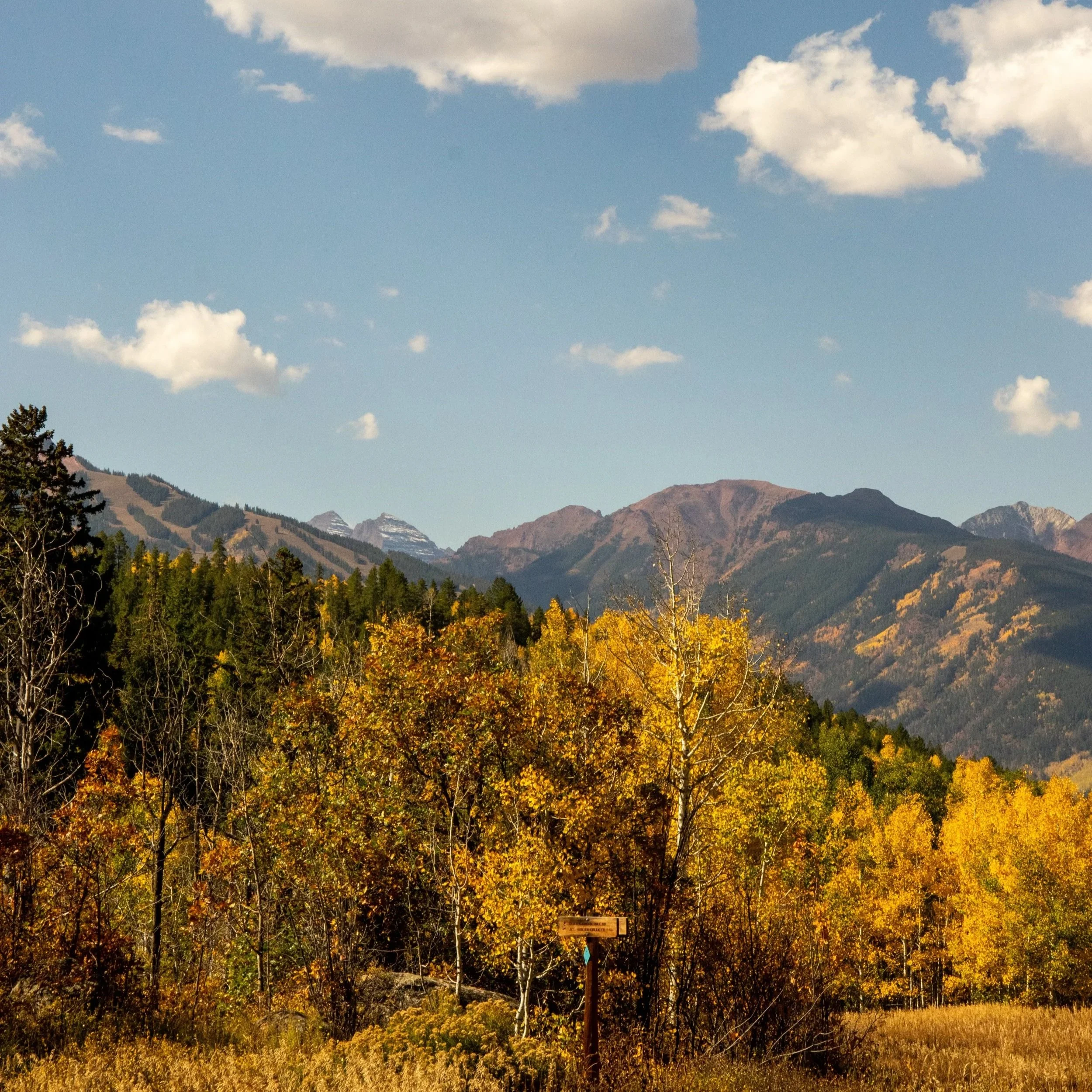 The Best Places to See the Leaves Change in Colorado