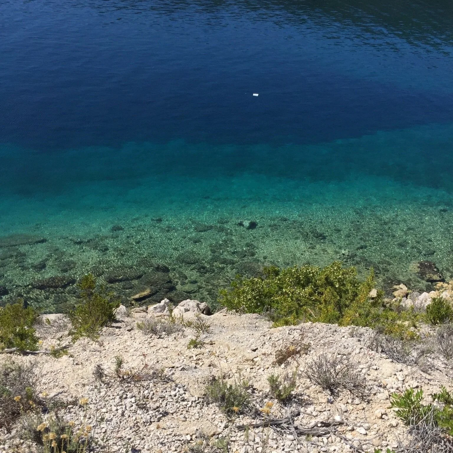 mljet's beautiful coastline with turquoise water