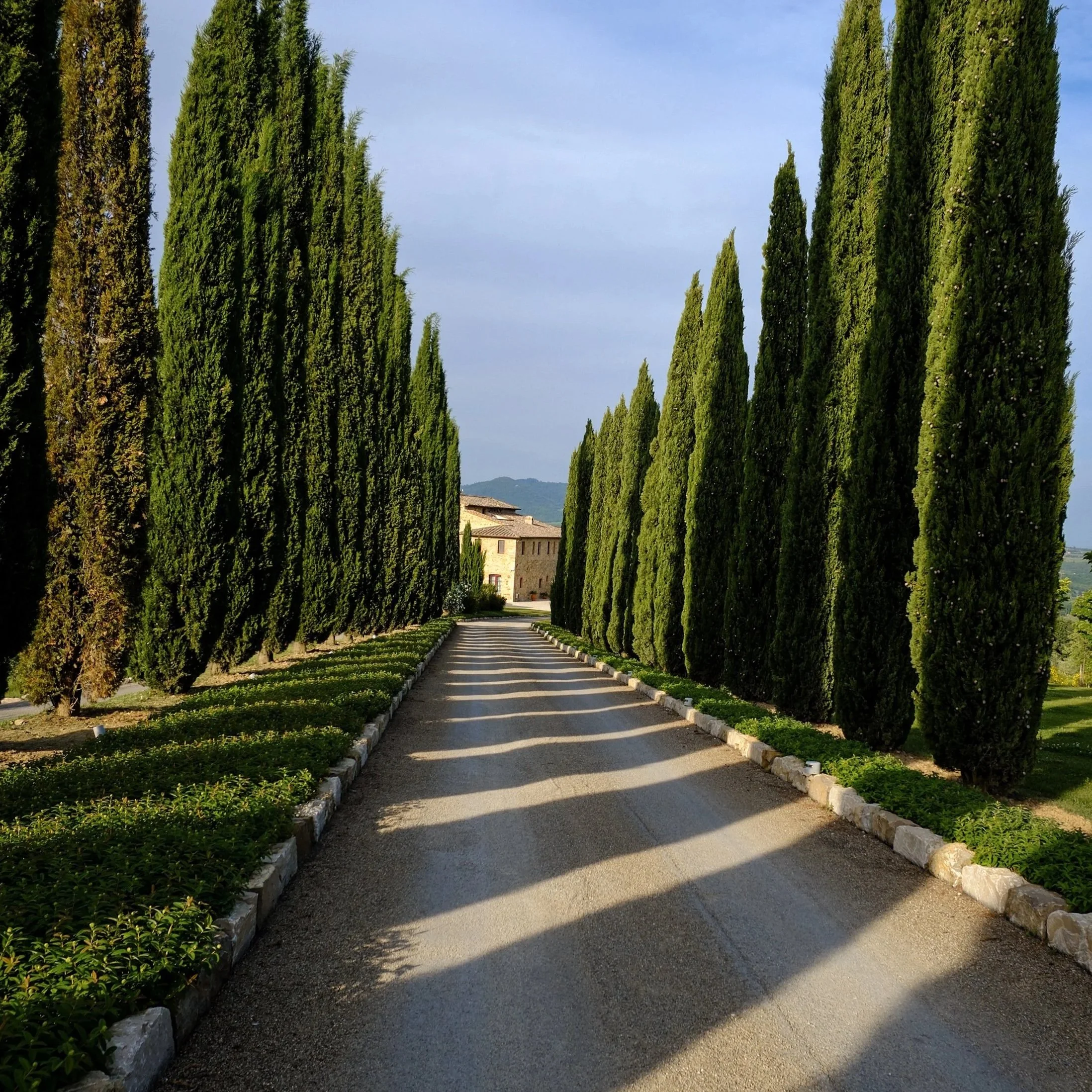 cyprus-lined entrance at Le Fontanelle Club House