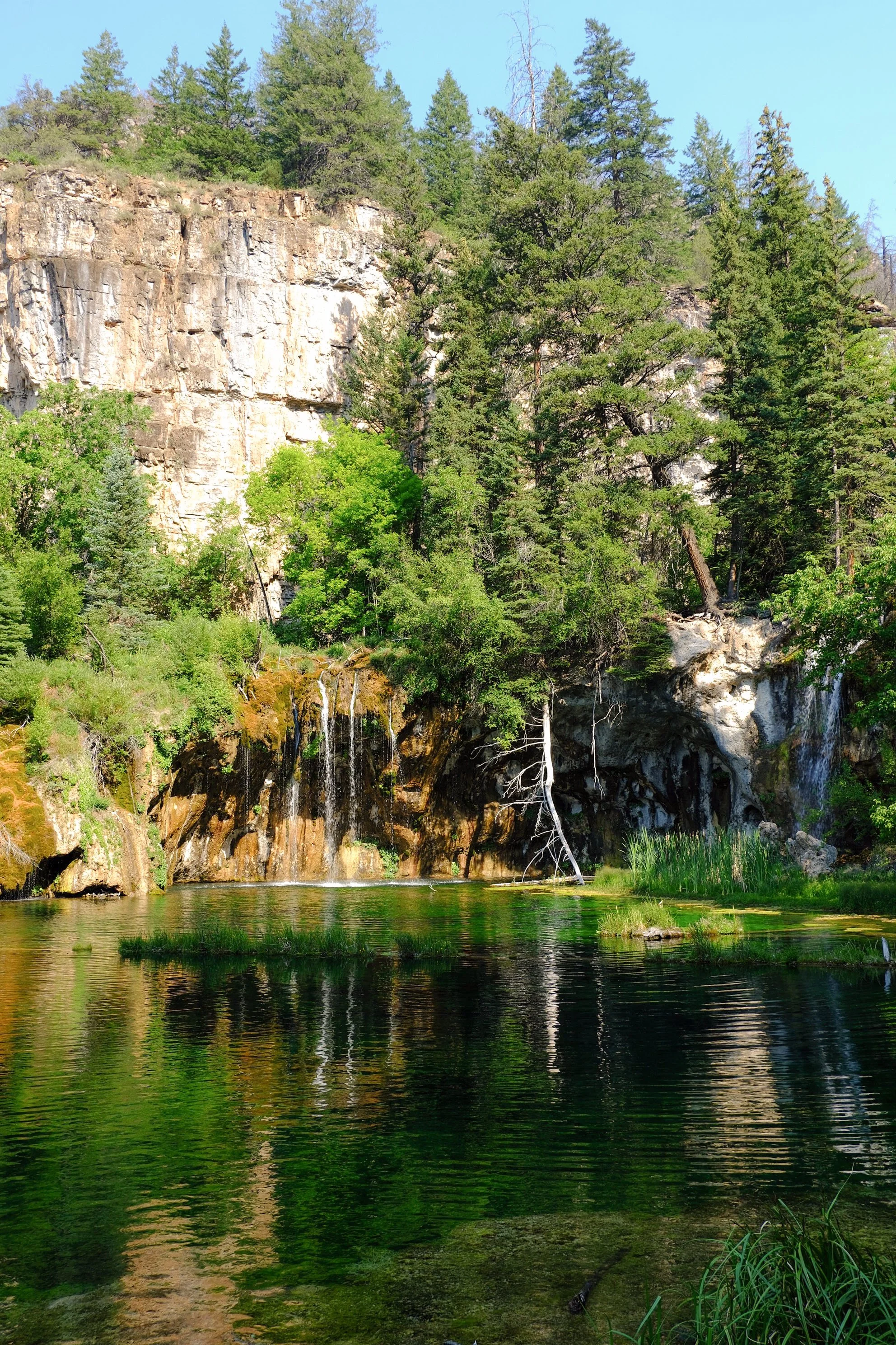 Hanging Lake Trail, Colorado: The Complete Guide to Hiking One of Colorado's Most Beautiful Lakes