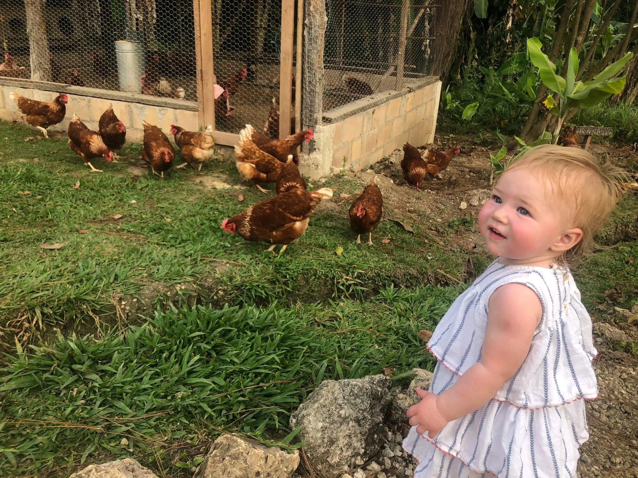enjoying the farm at Blancaneaux Lodge in Cayo District of Belize