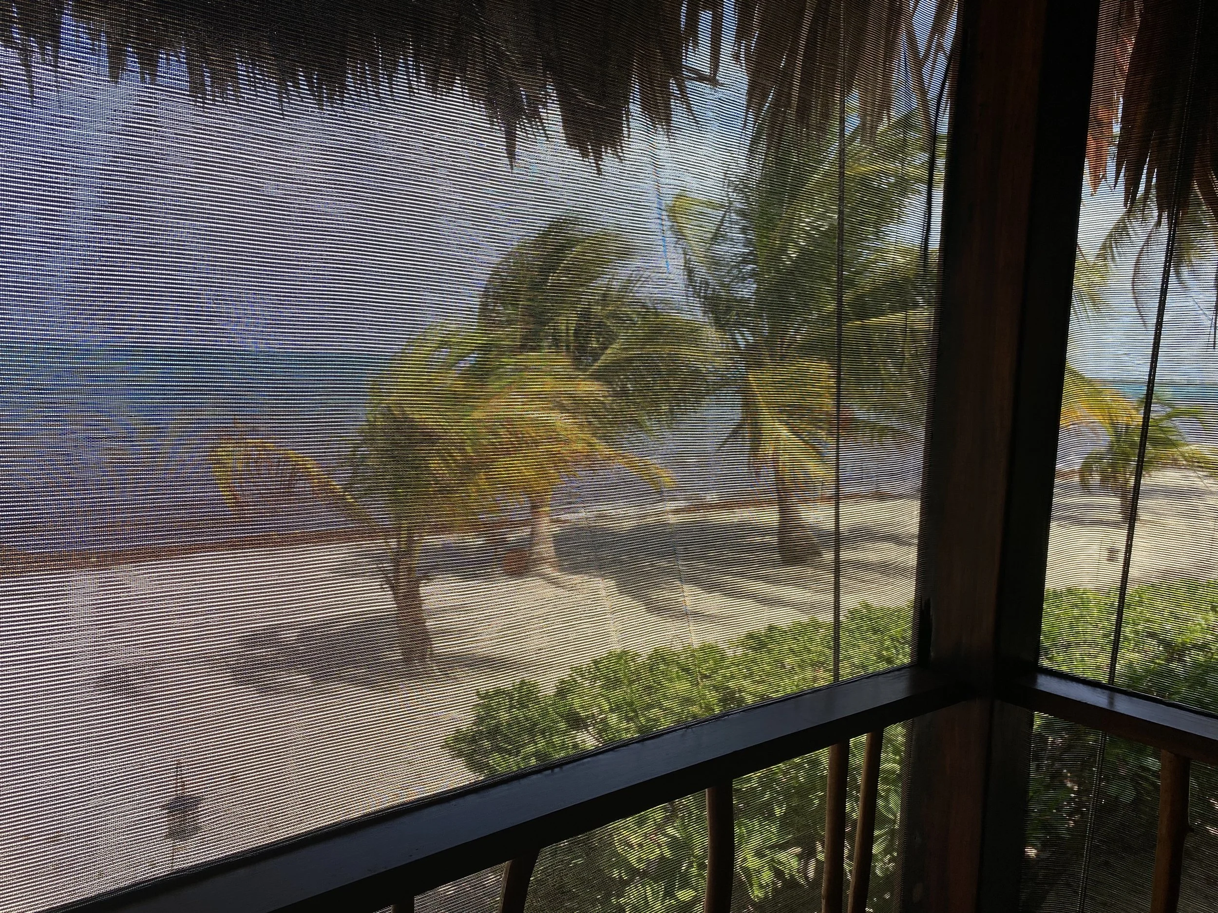 view from beachfront hut at Turtle Inn in Placencia Belize